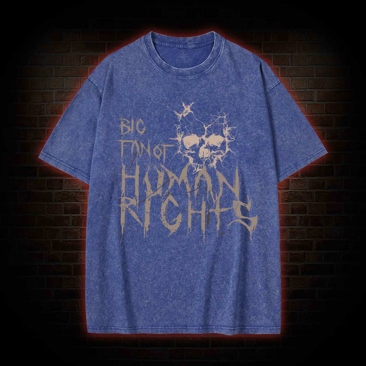 Big Fan of Human Rights Washed T-shirt