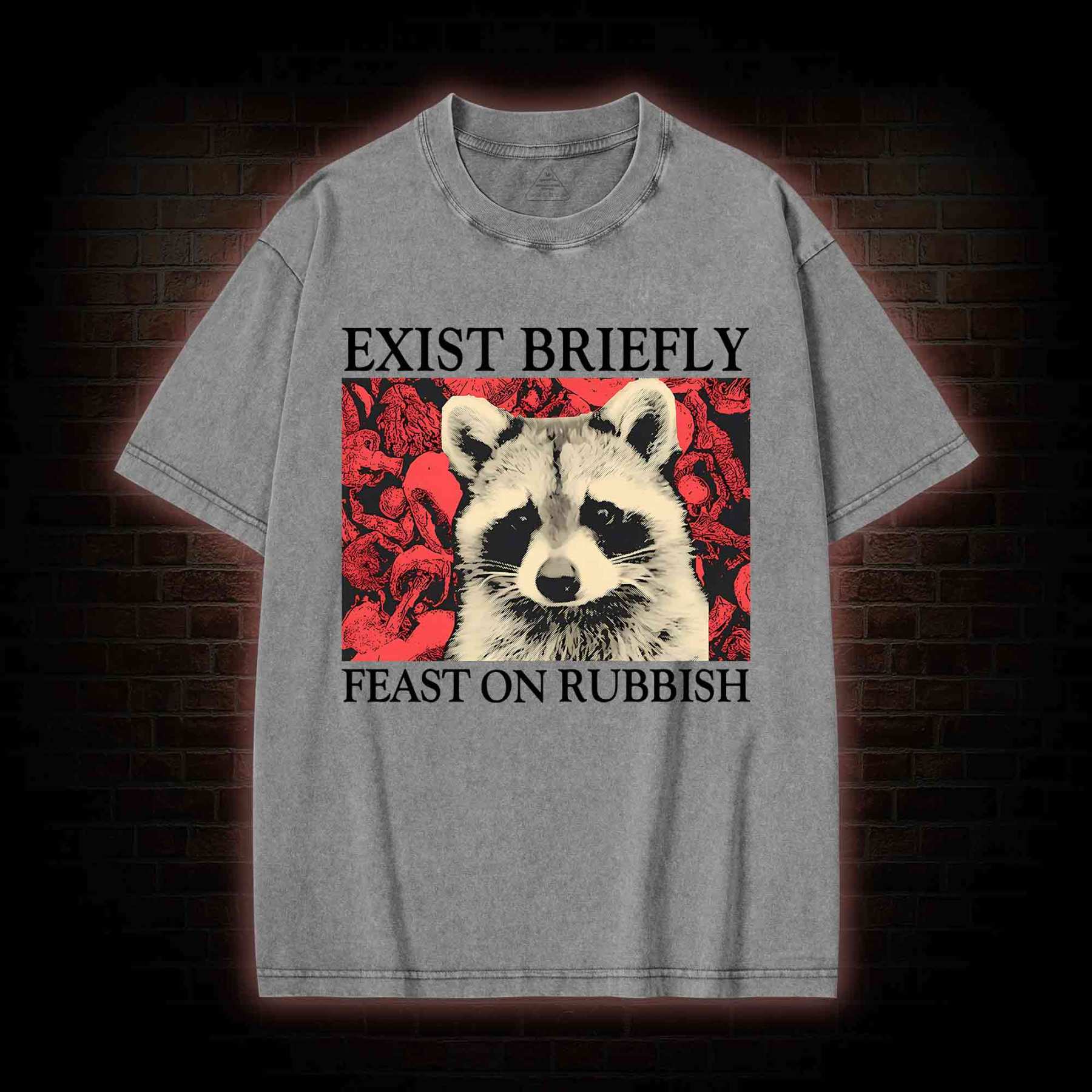 Exist Briefly Feast On Rubbish Washed T-shirt