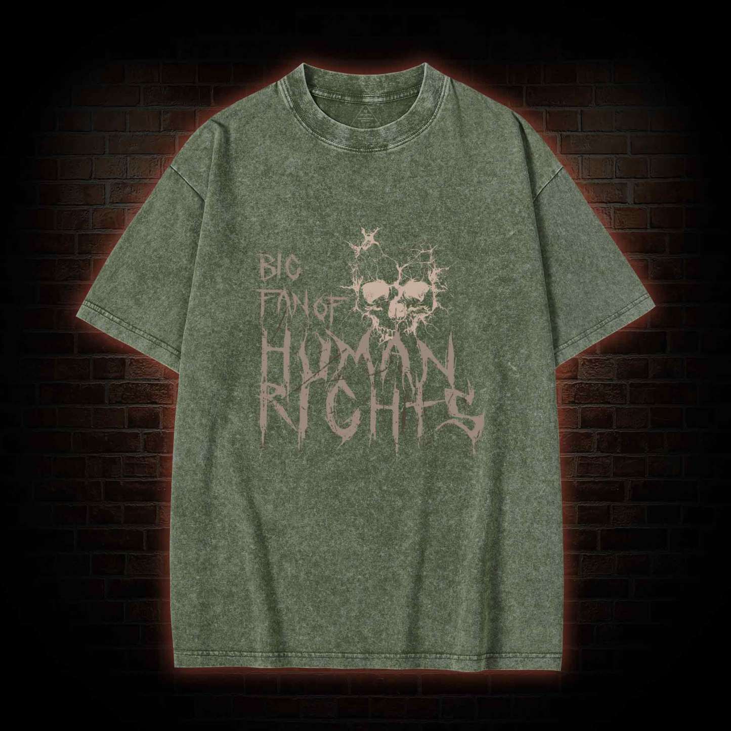 Big Fan of Human Rights Washed T-shirt