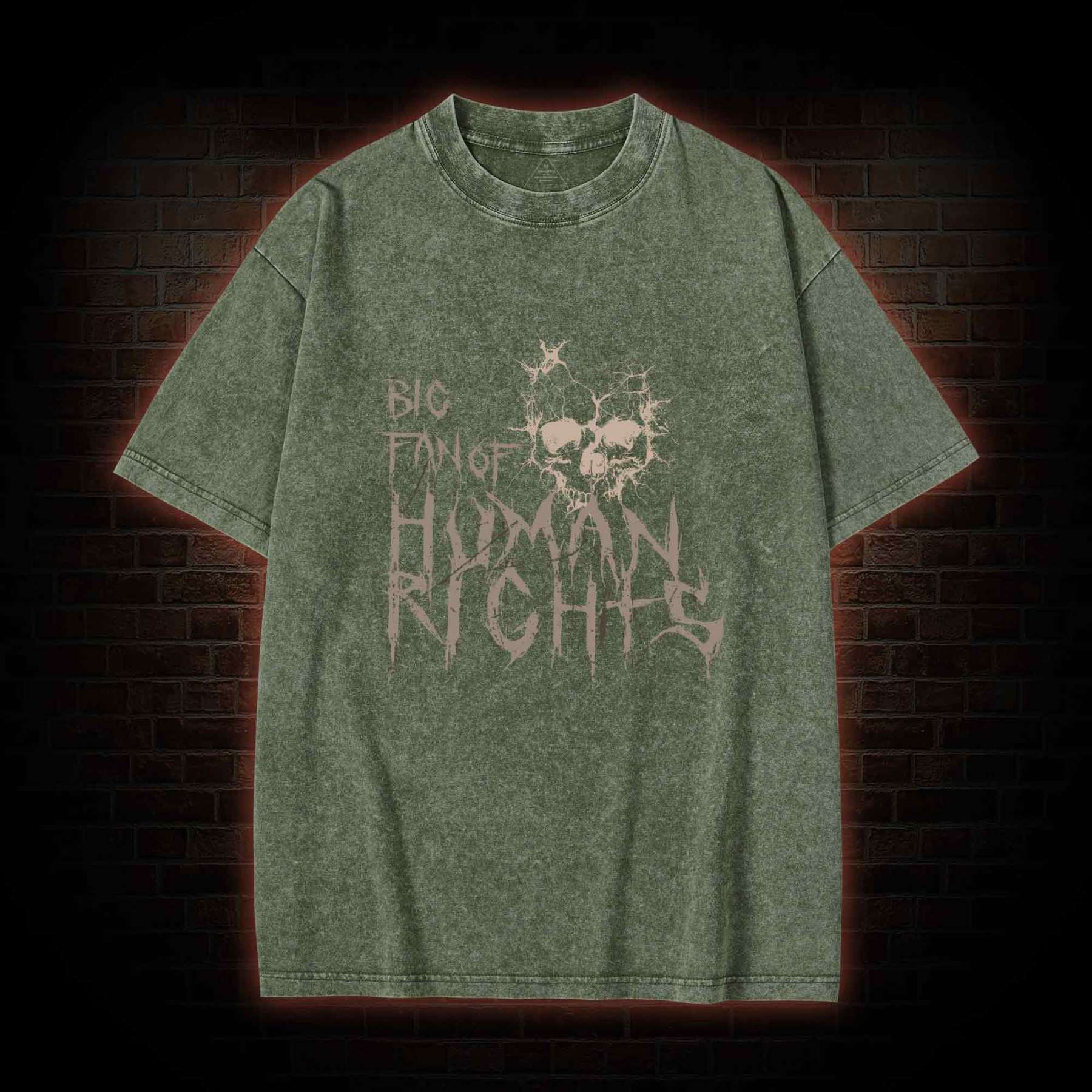 Big Fan of Human Rights Washed T-shirt