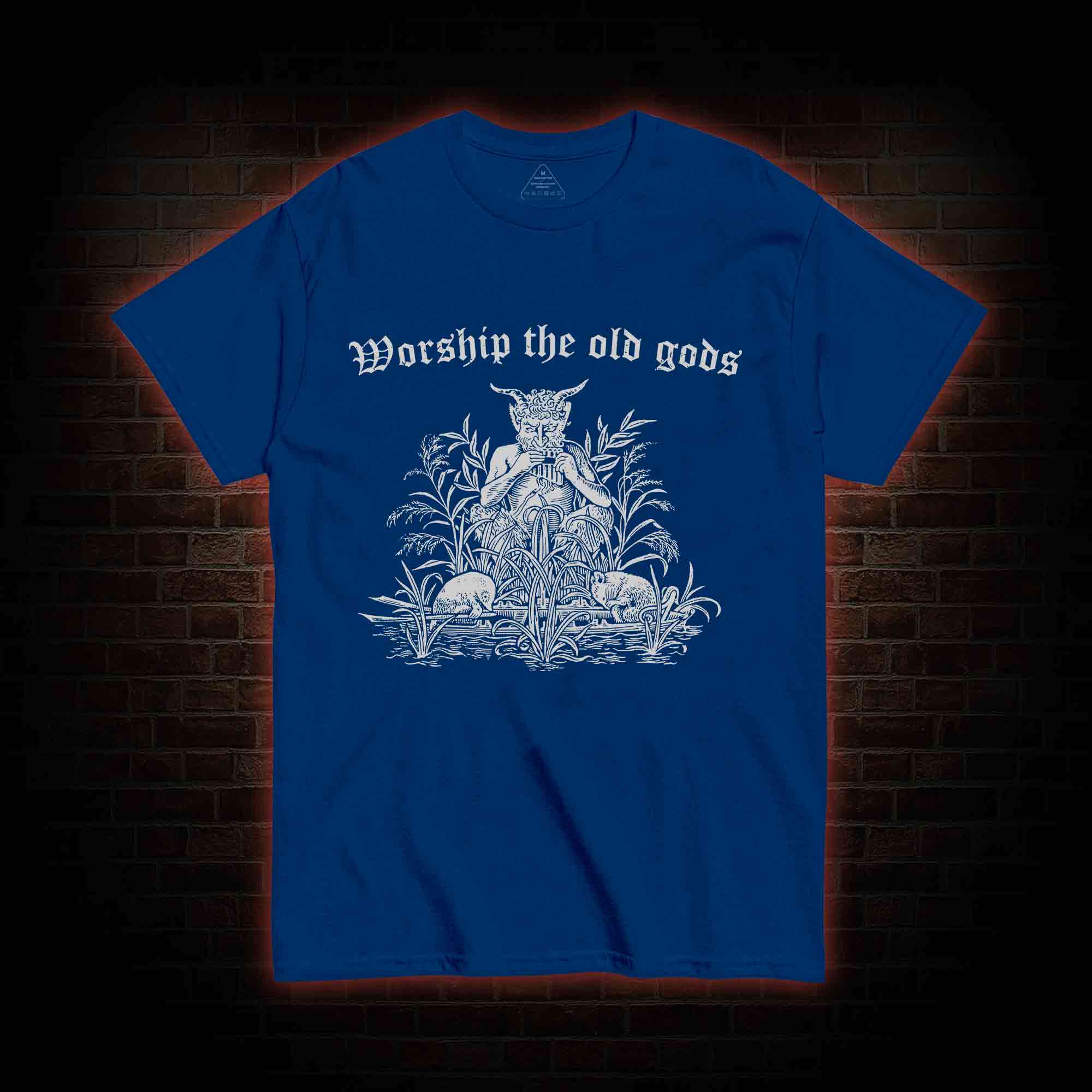 Worship The Old Gods T-shirt