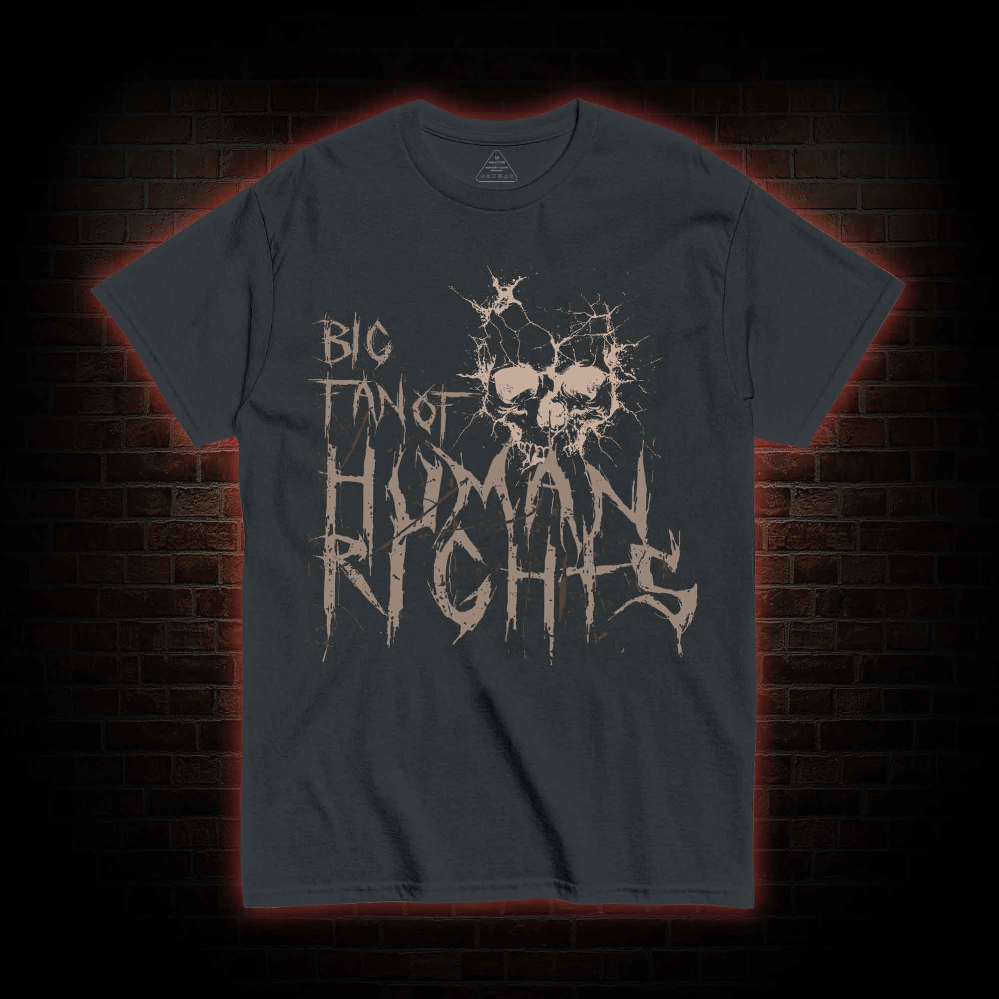 Big Fan of Human Rights T-shirt
