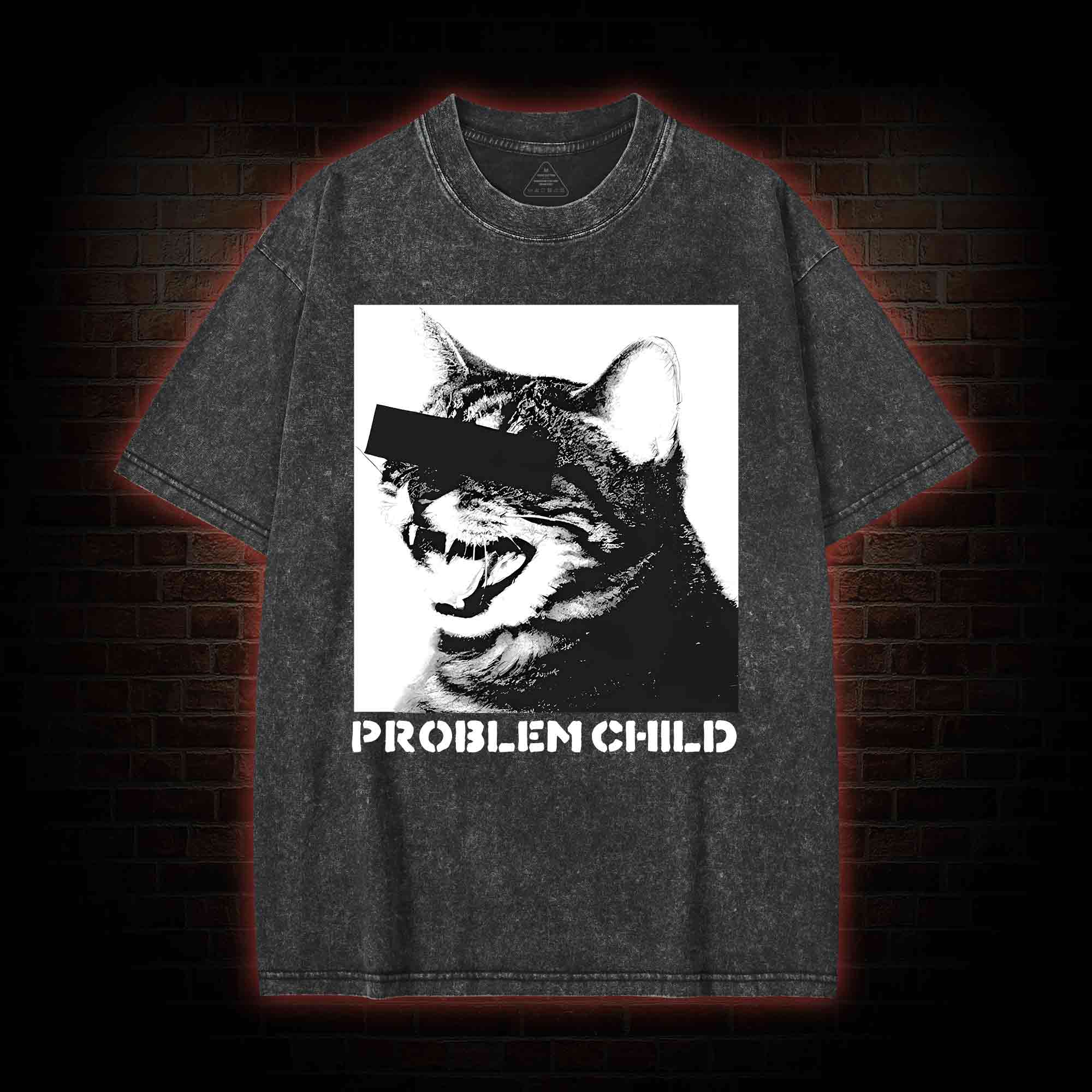 Problem Child Cat Washed T-shirt
