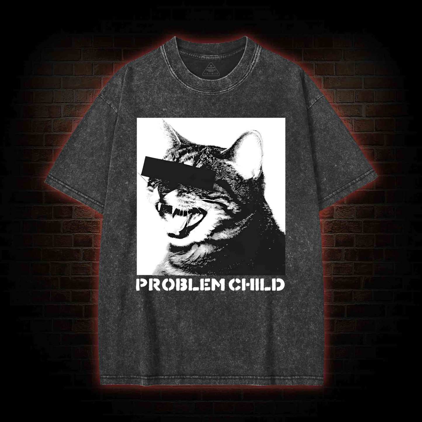 Problem Child Cat Washed T-shirt