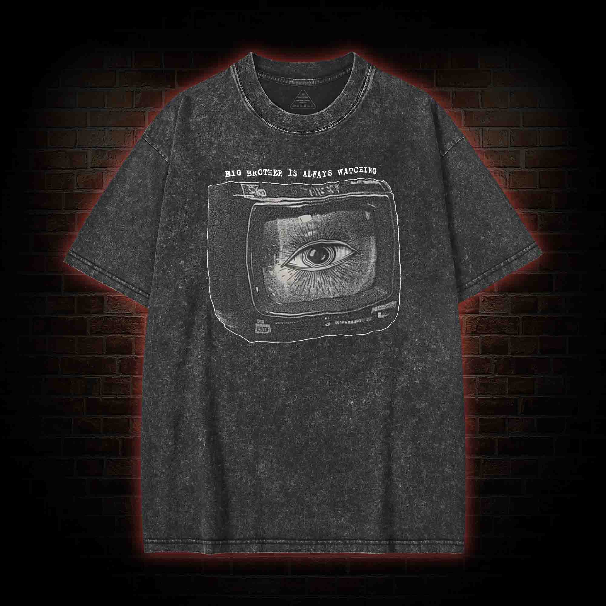 Big Brother is Always Watching Washed T-shirt
