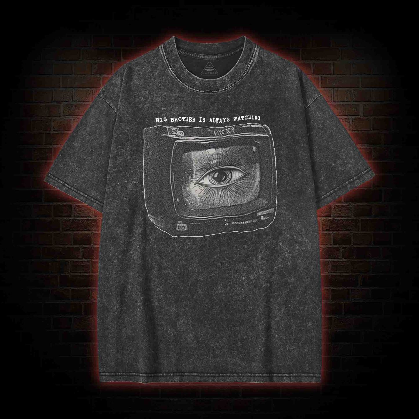 Big Brother is Always Watching Washed T-shirt