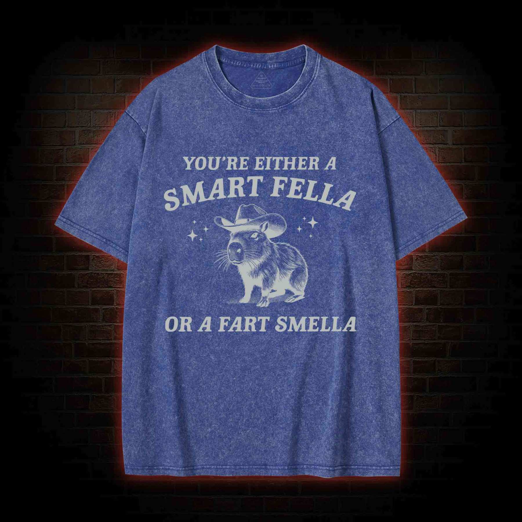 Smart Fella Or Fart Smella Washed T-shirt