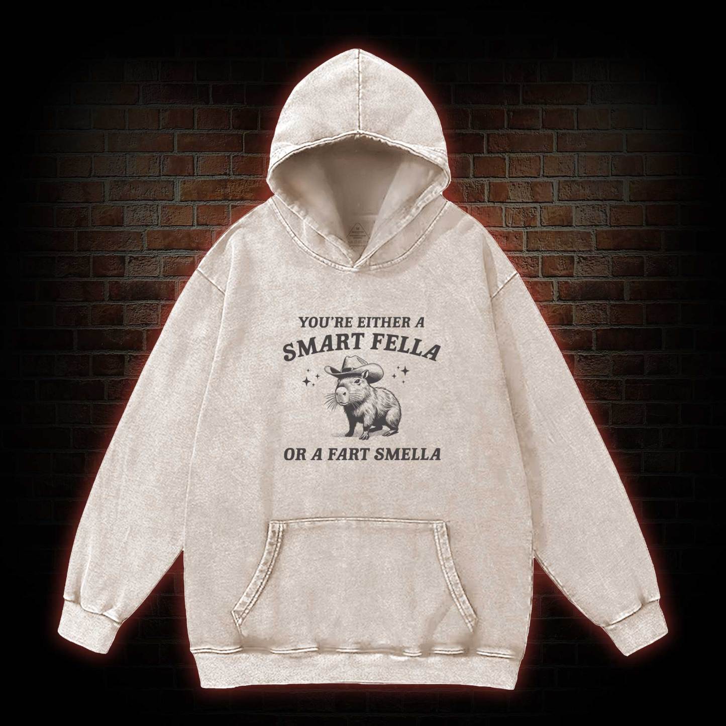 Smart Fella Or Fart Smella Washed Hoodie