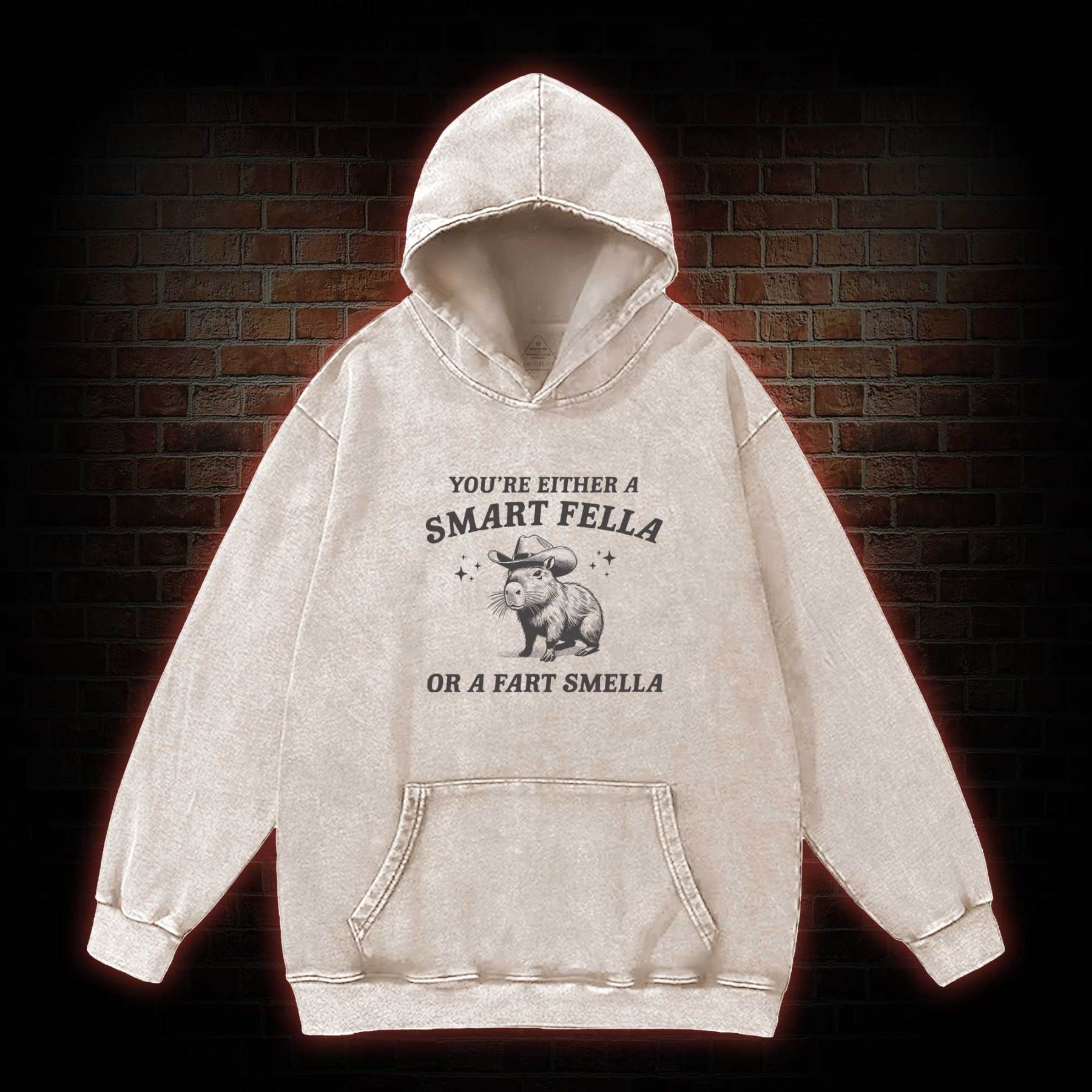 Smart Fella Or Fart Smella Washed Hoodie