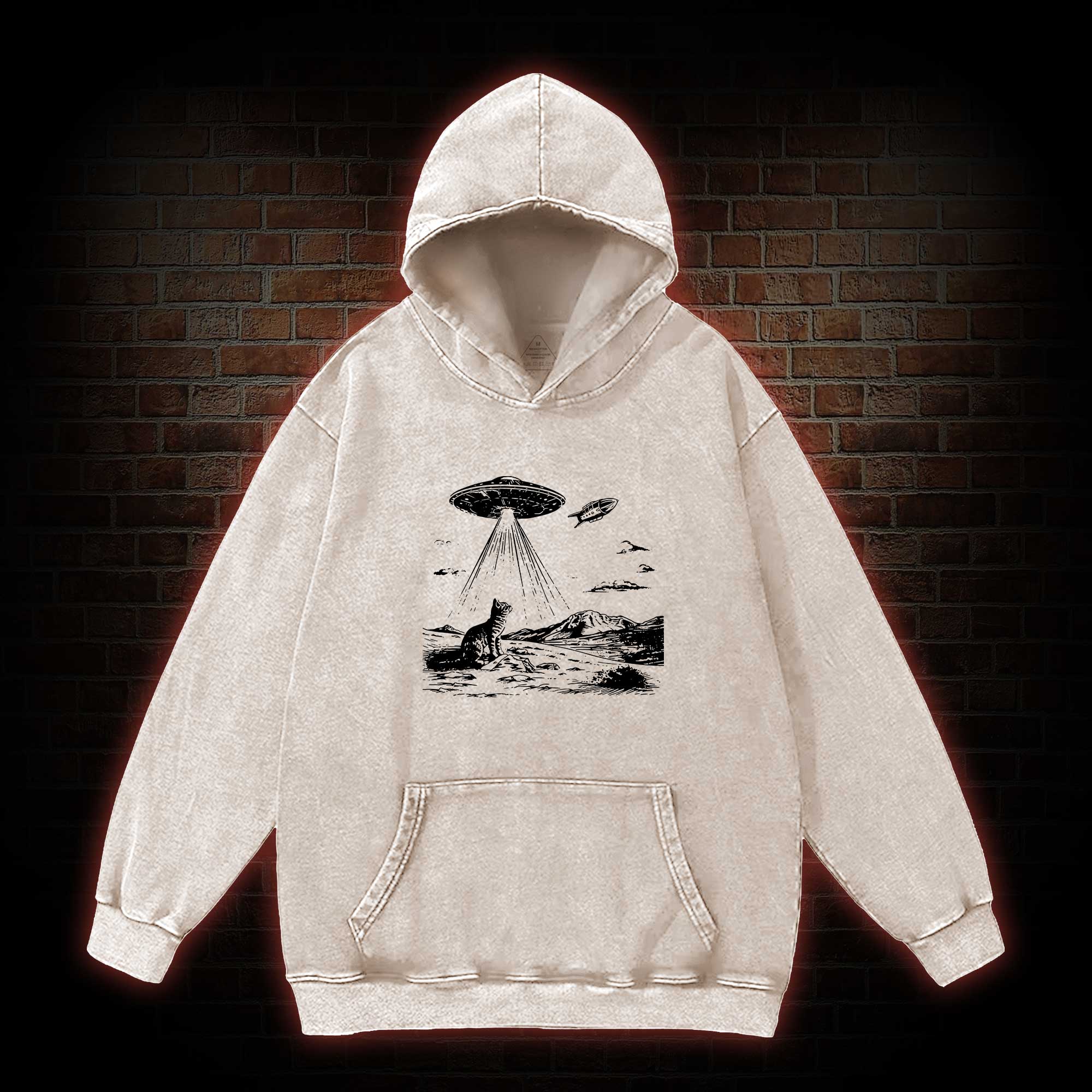 Ufo Cat Washed Hoodie