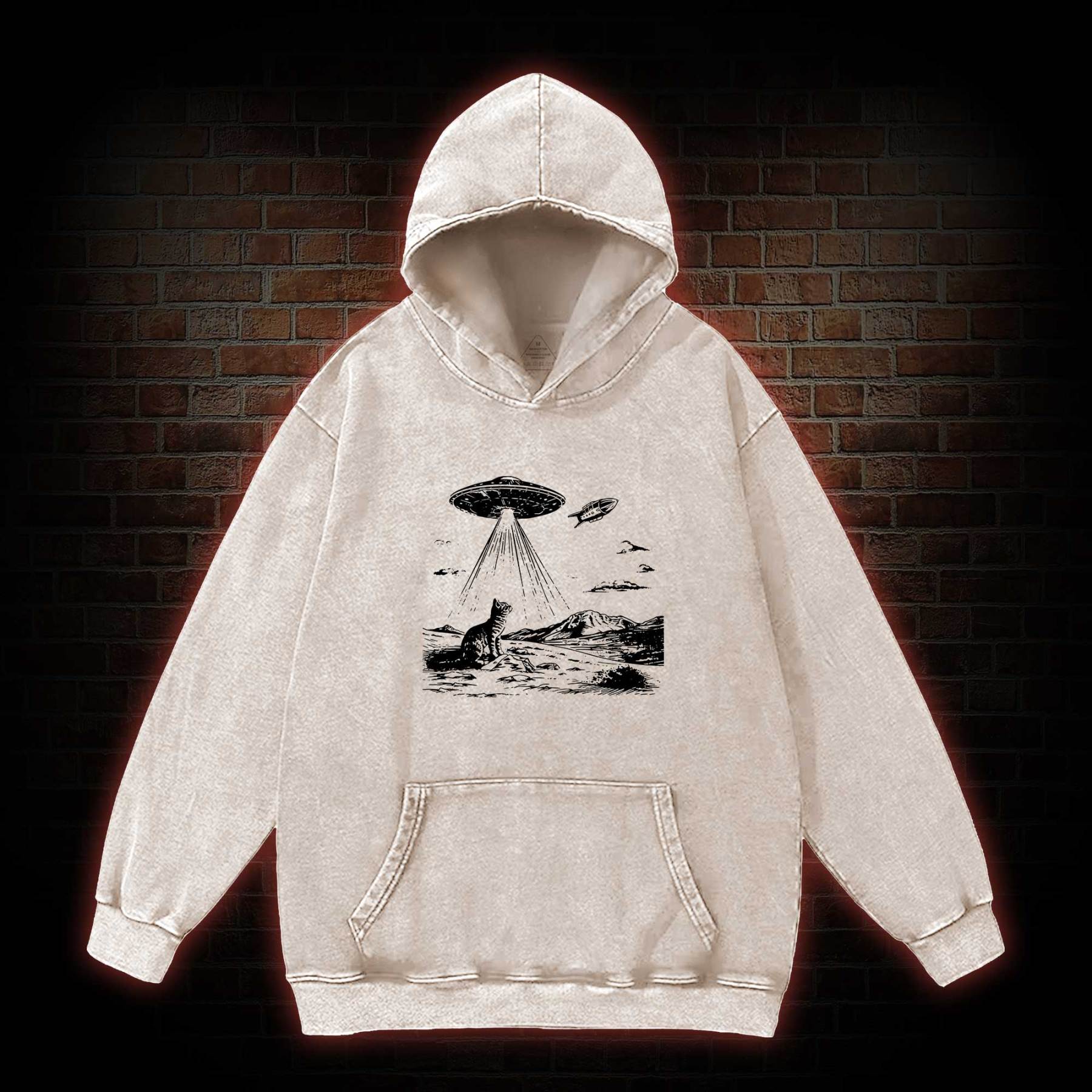 Ufo Cat Washed Hoodie