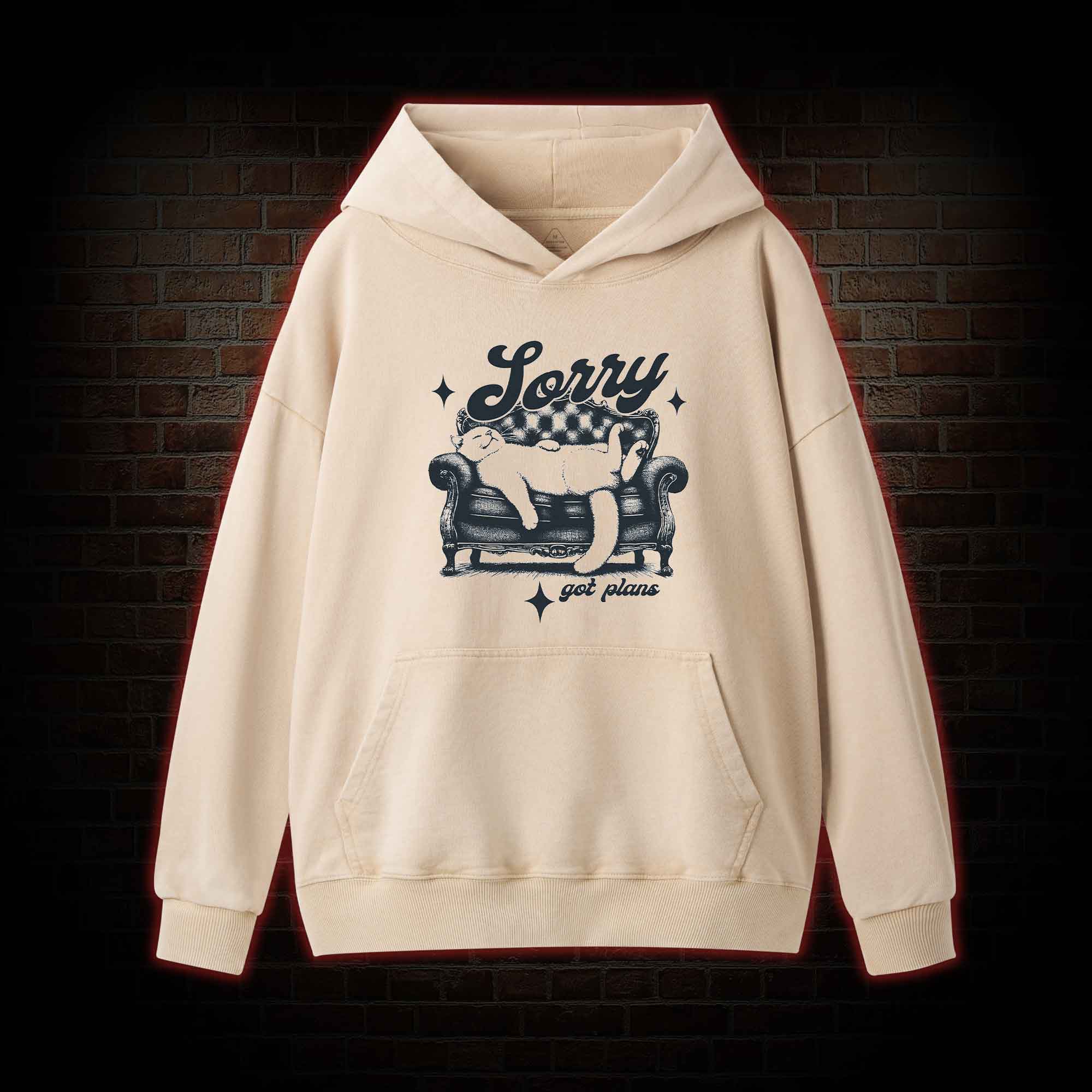 Sorry Got Plan Washed Hoodie