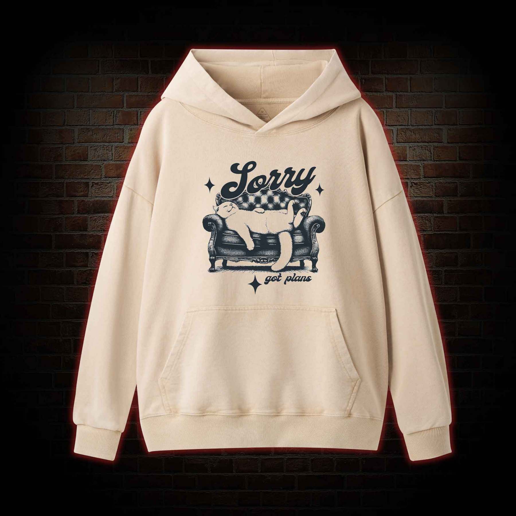 Sorry Got Plan Washed Hoodie