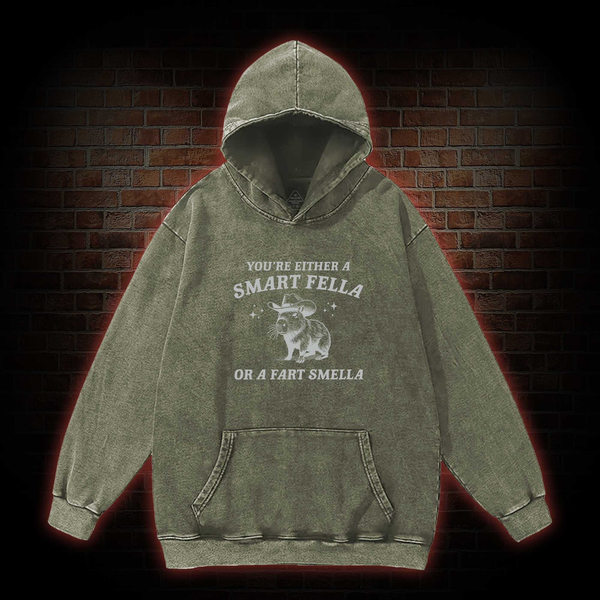 Smart Fella Or Fart Smella Washed Hoodie