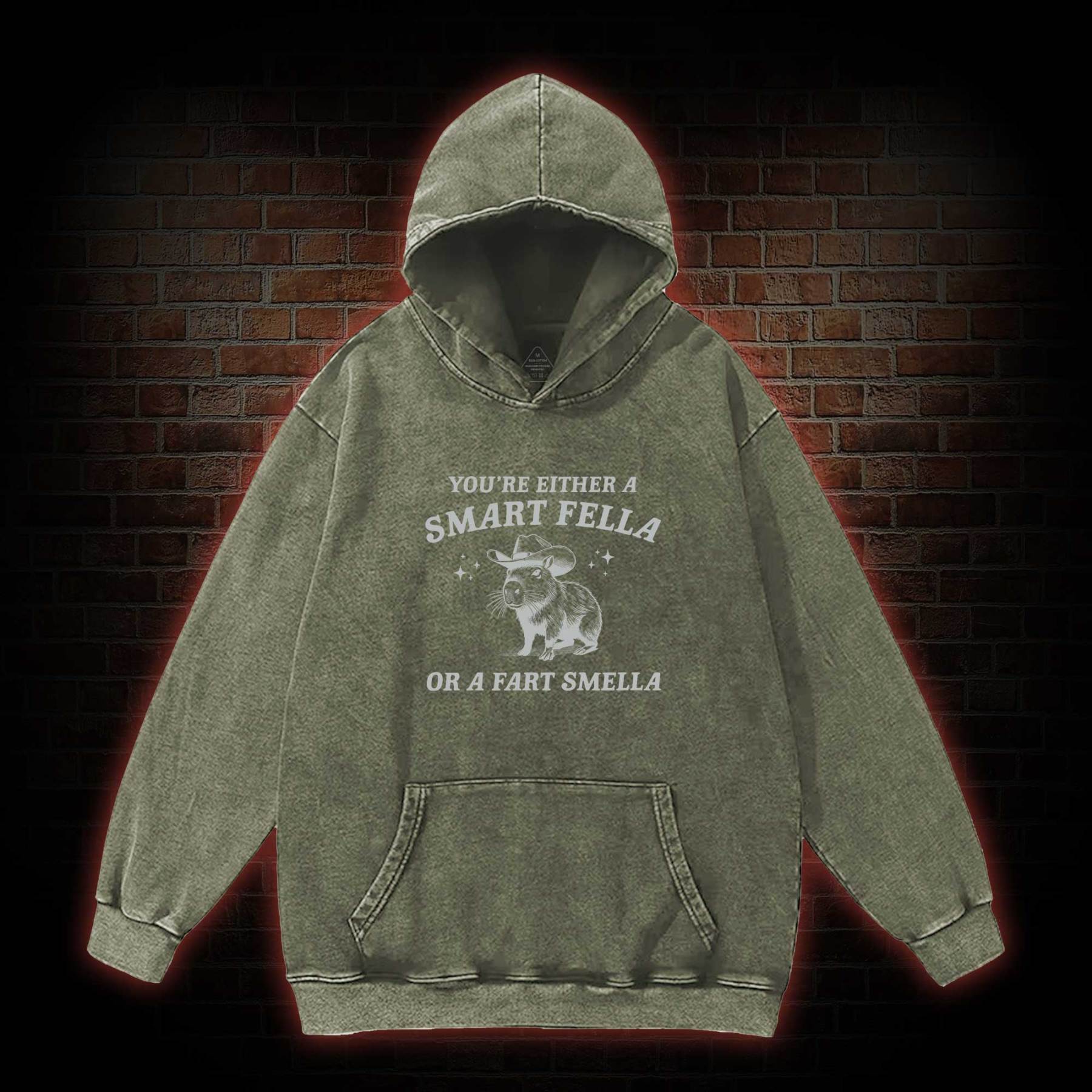 Smart Fella Or Fart Smella Washed Hoodie