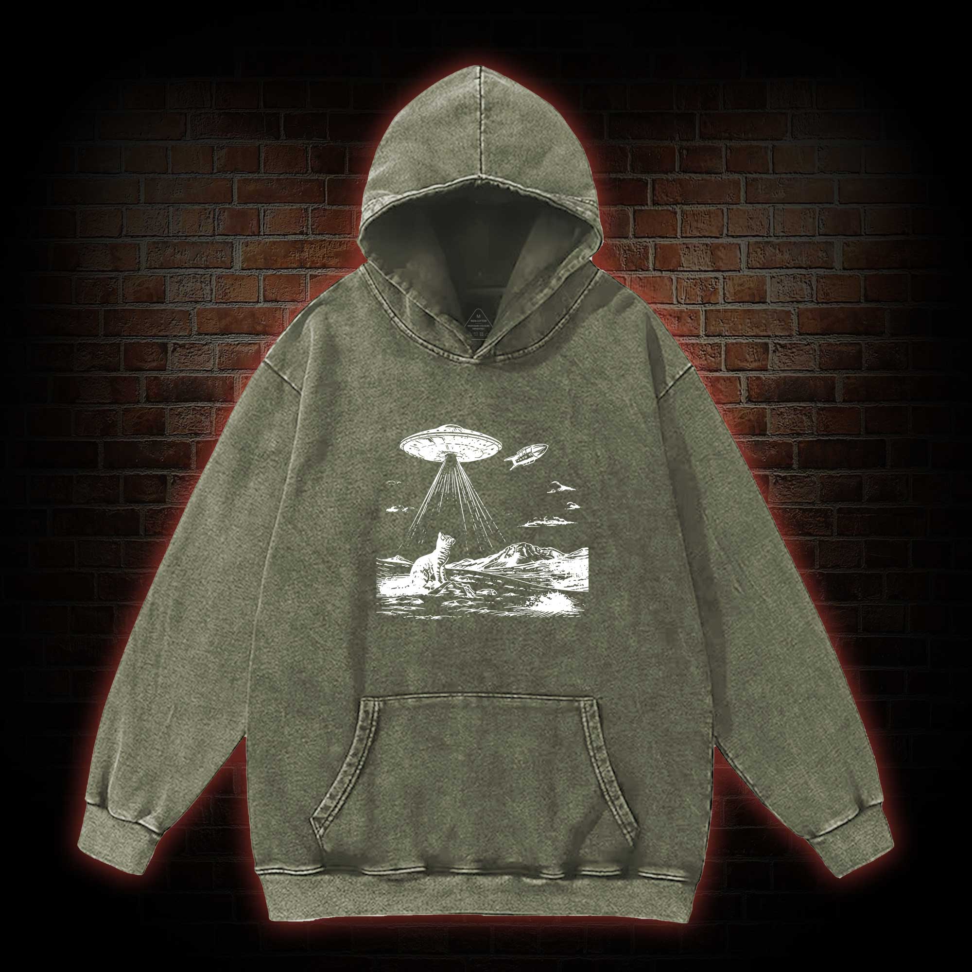 Ufo Cat Washed Hoodie