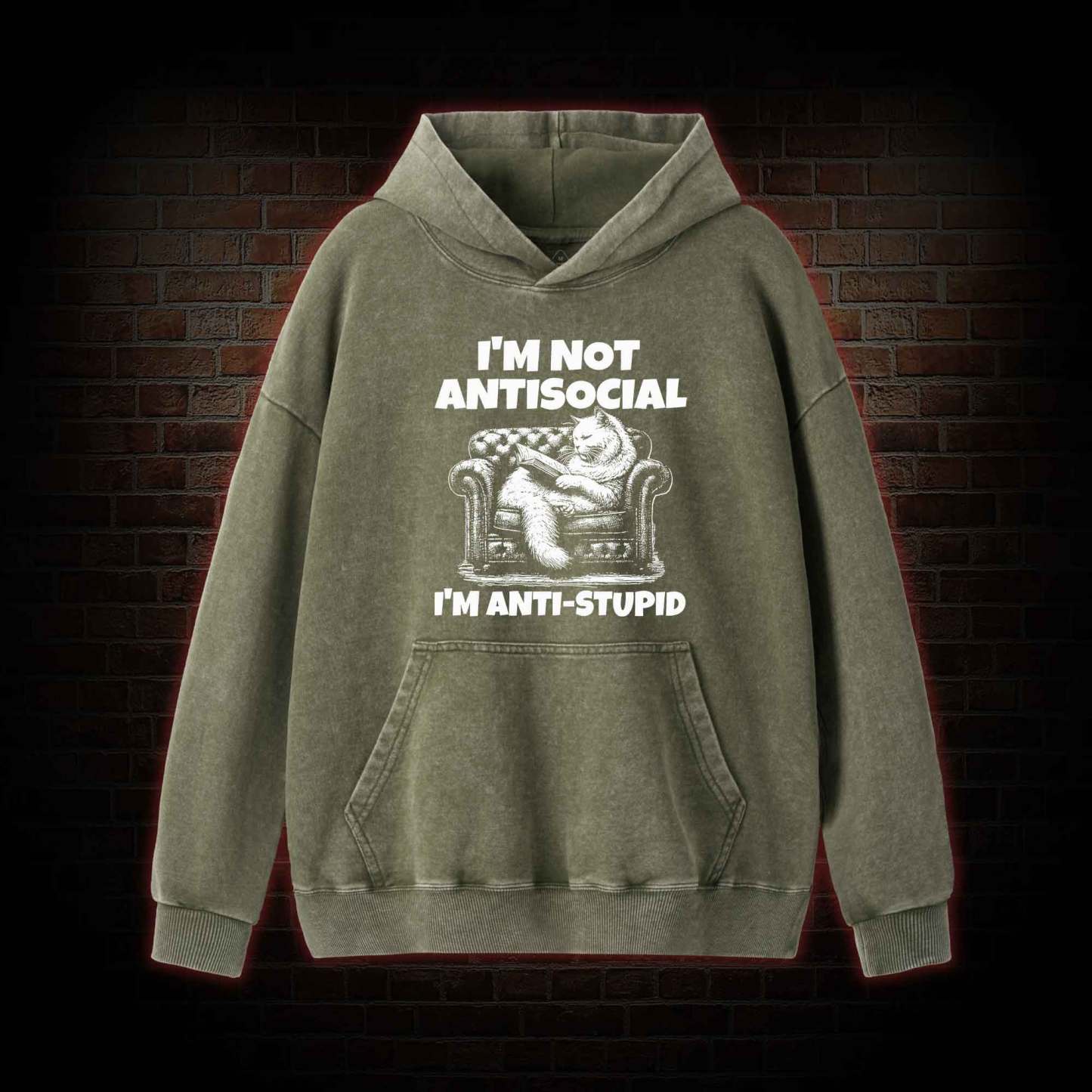 I'm Not Antisocial Washed Hoodie