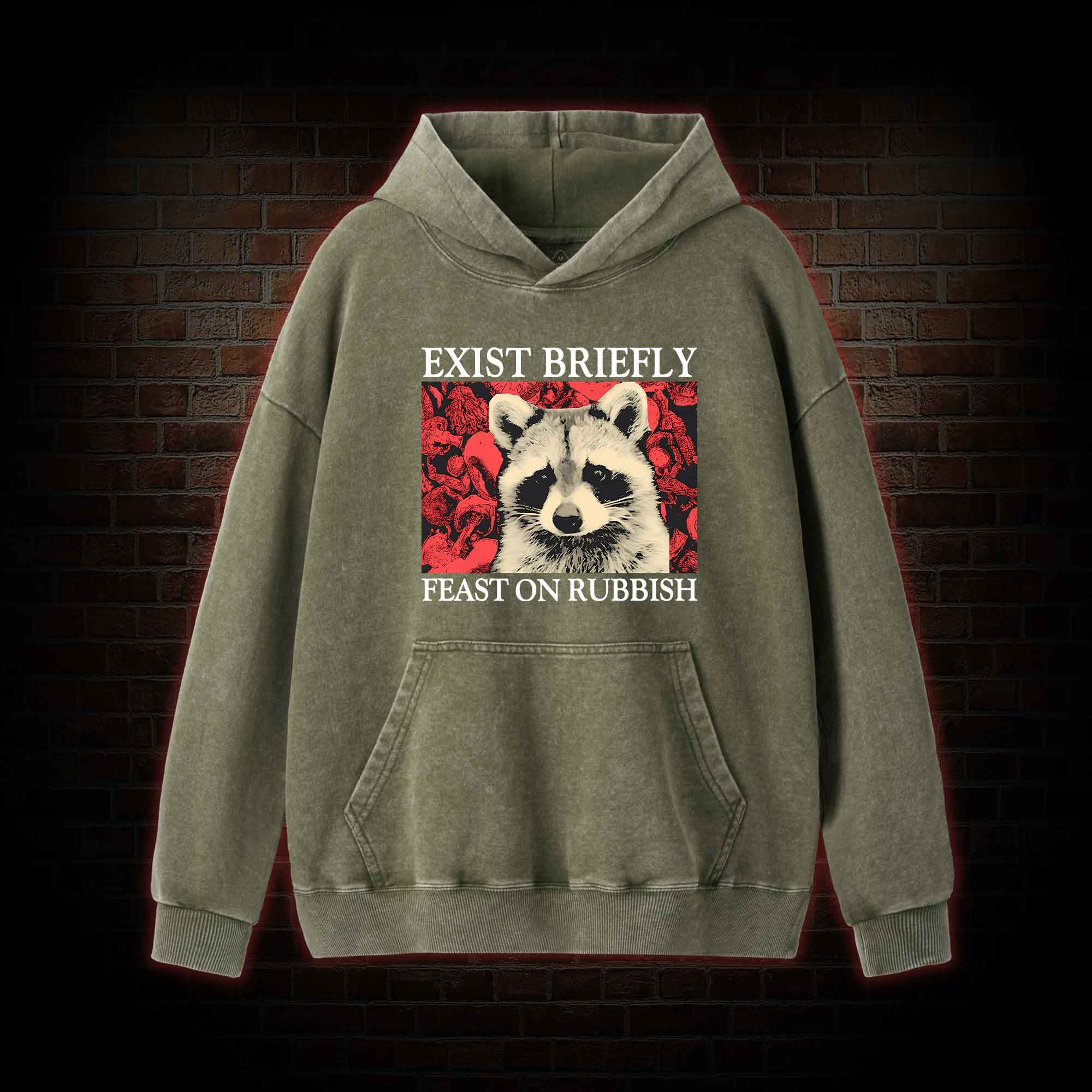 Exist Briefly Feast On Rubbish Washed Hoodie