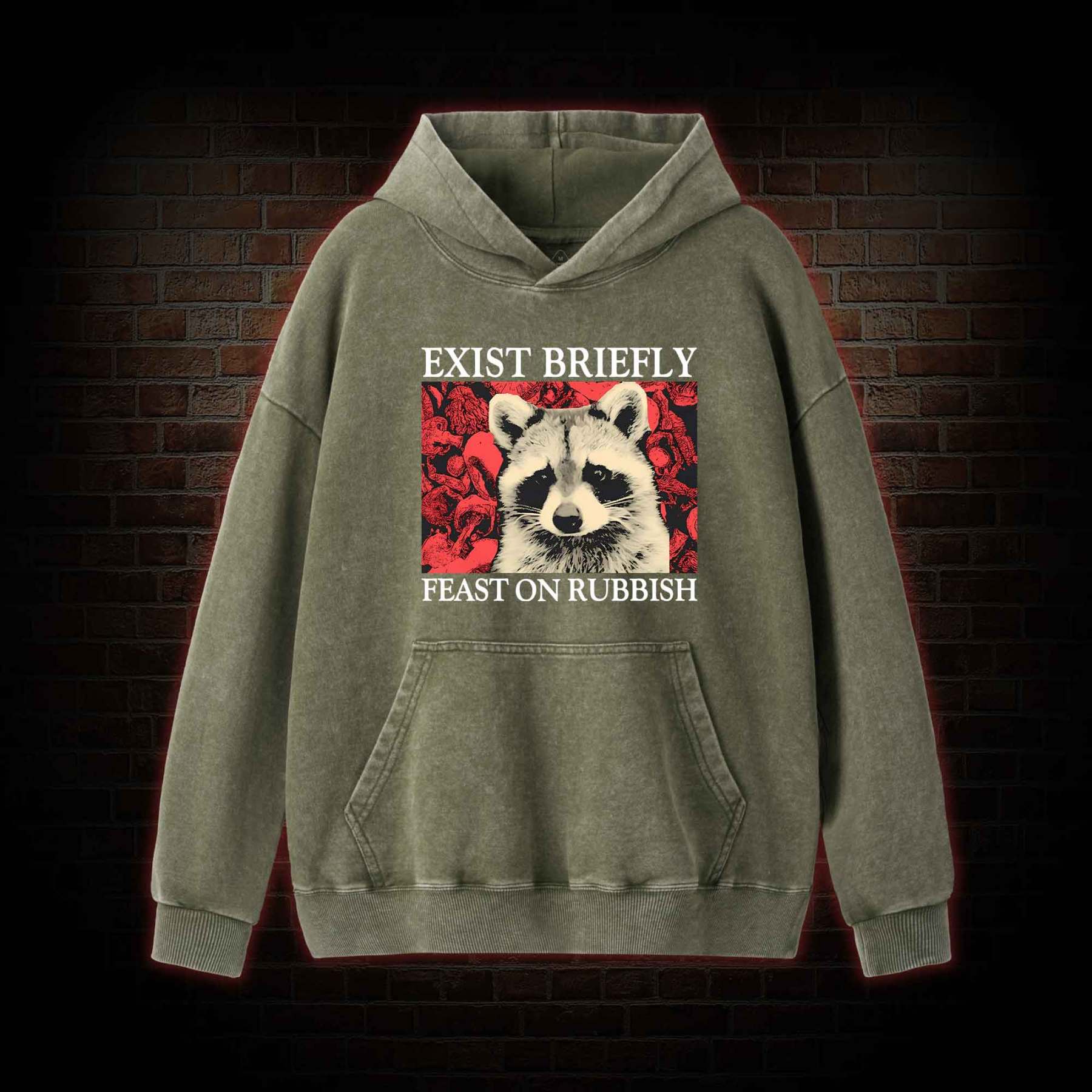 Exist Briefly Feast On Rubbish Washed Hoodie