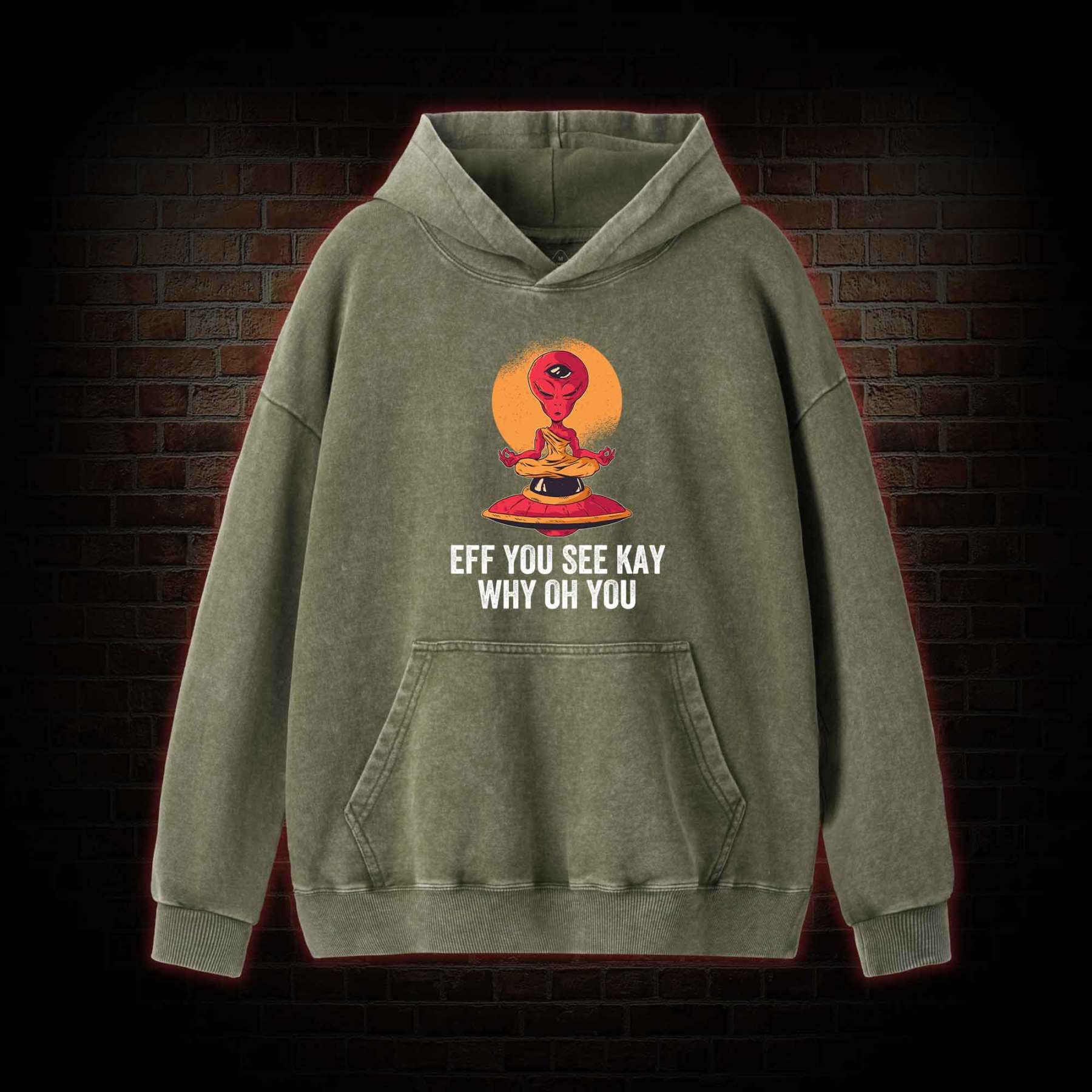 Eff You See Kay Why Oh You Alien Washed Hoodie