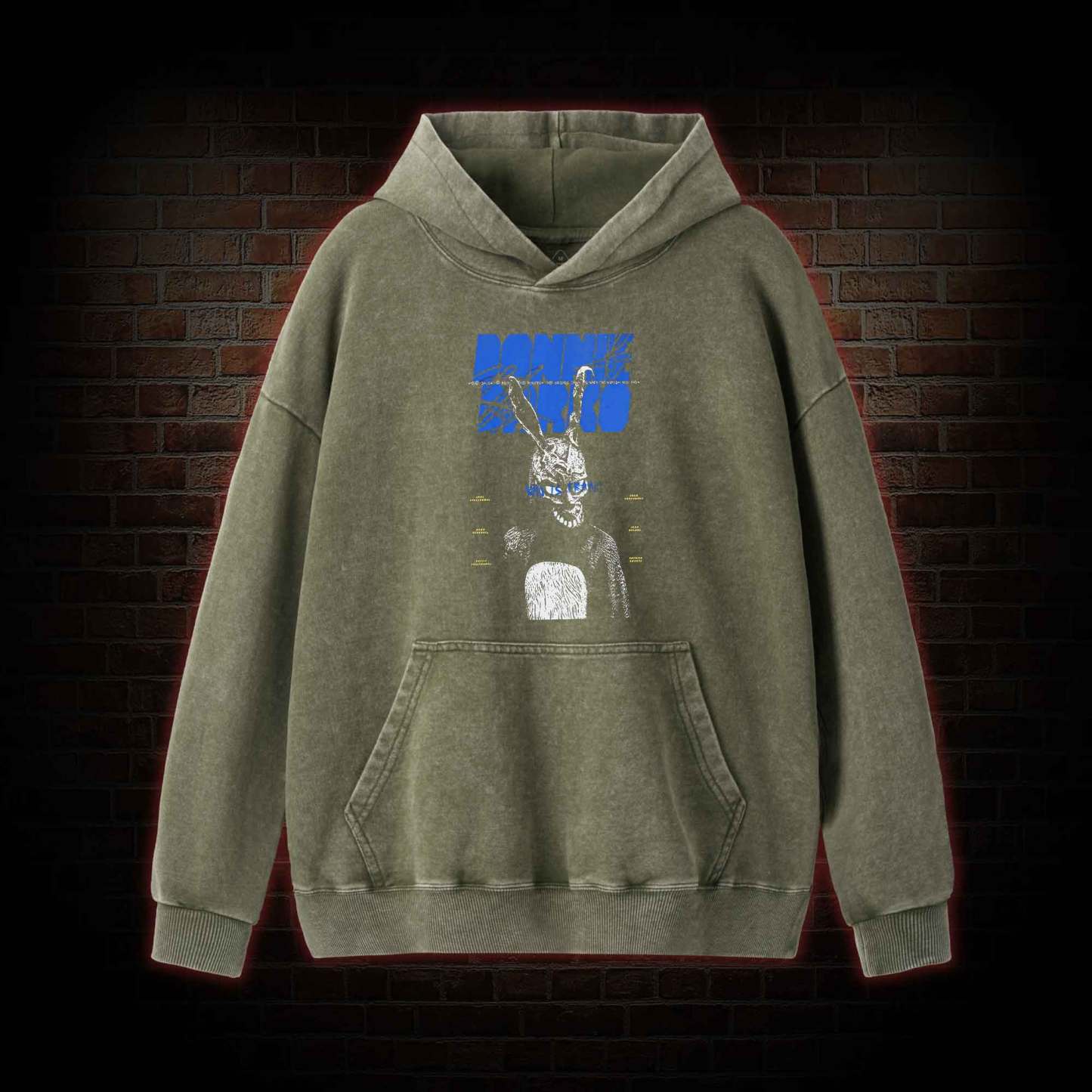 Who is Frank? Washed Hoodie