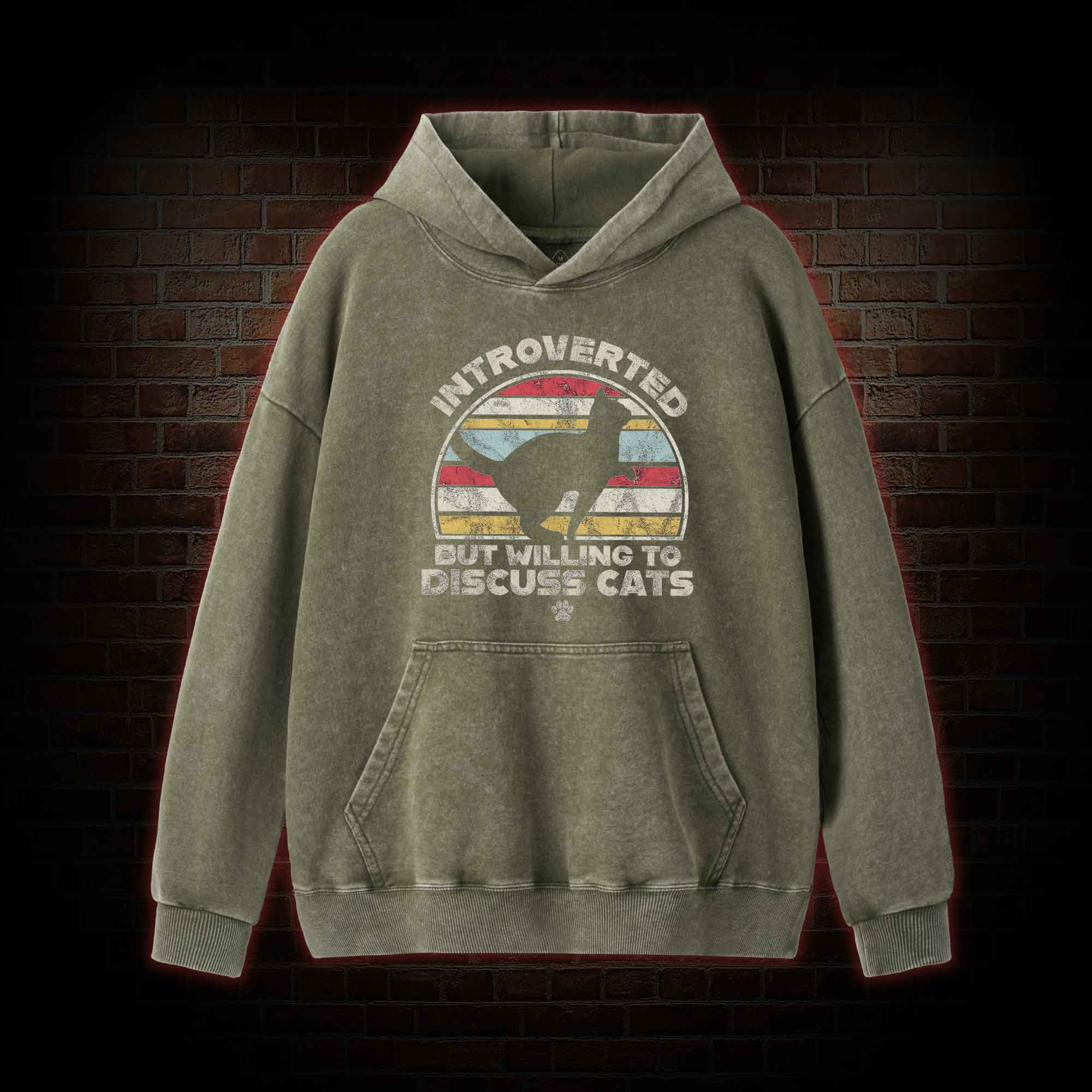 Introverted But Willing To Dicuss Cats Washed Hoodie