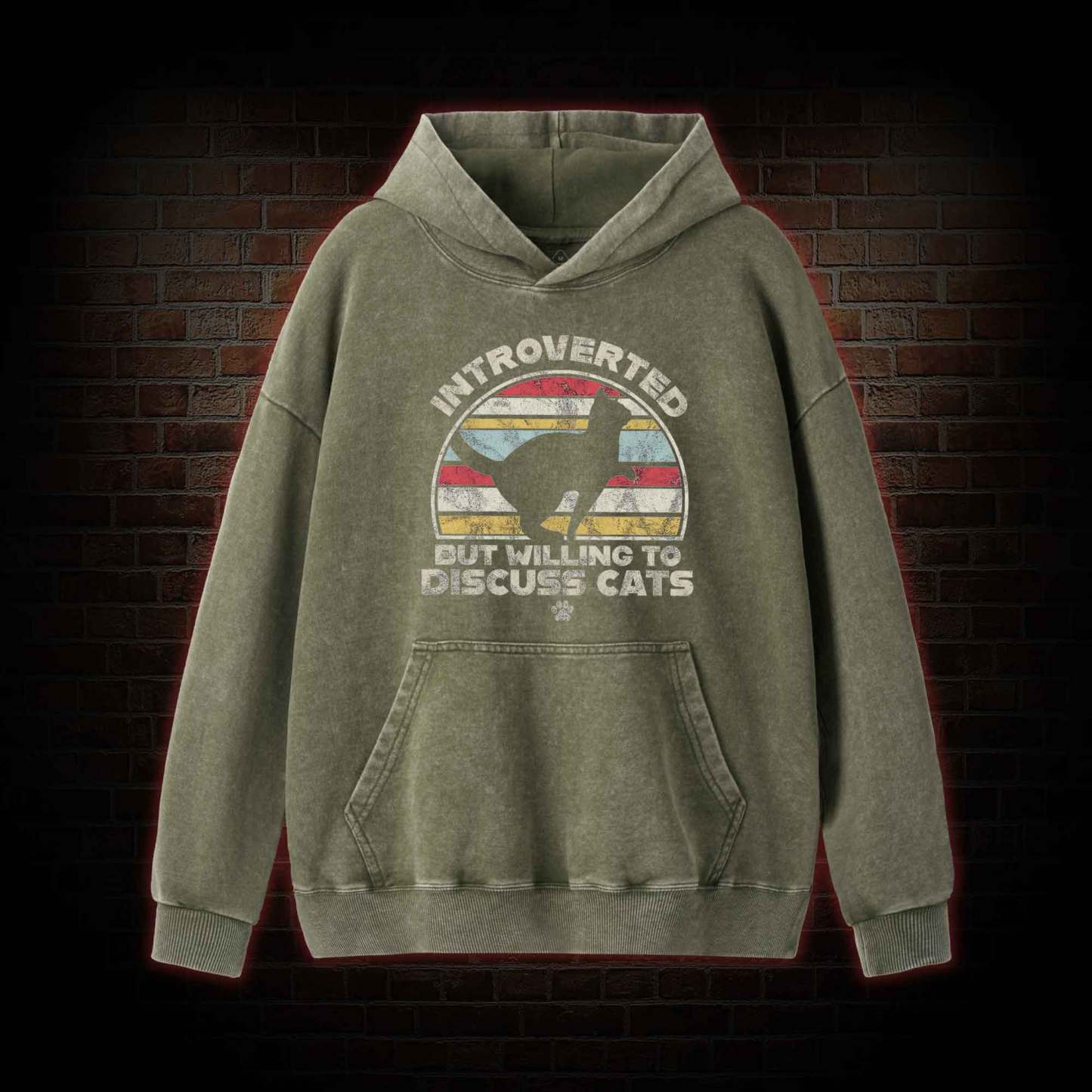 Introverted But Willing To Dicuss Cats Washed Hoodie