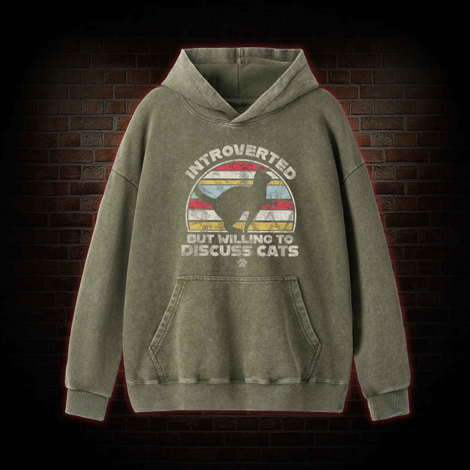 Introverted But Willing To Dicuss Cats Washed Hoodie