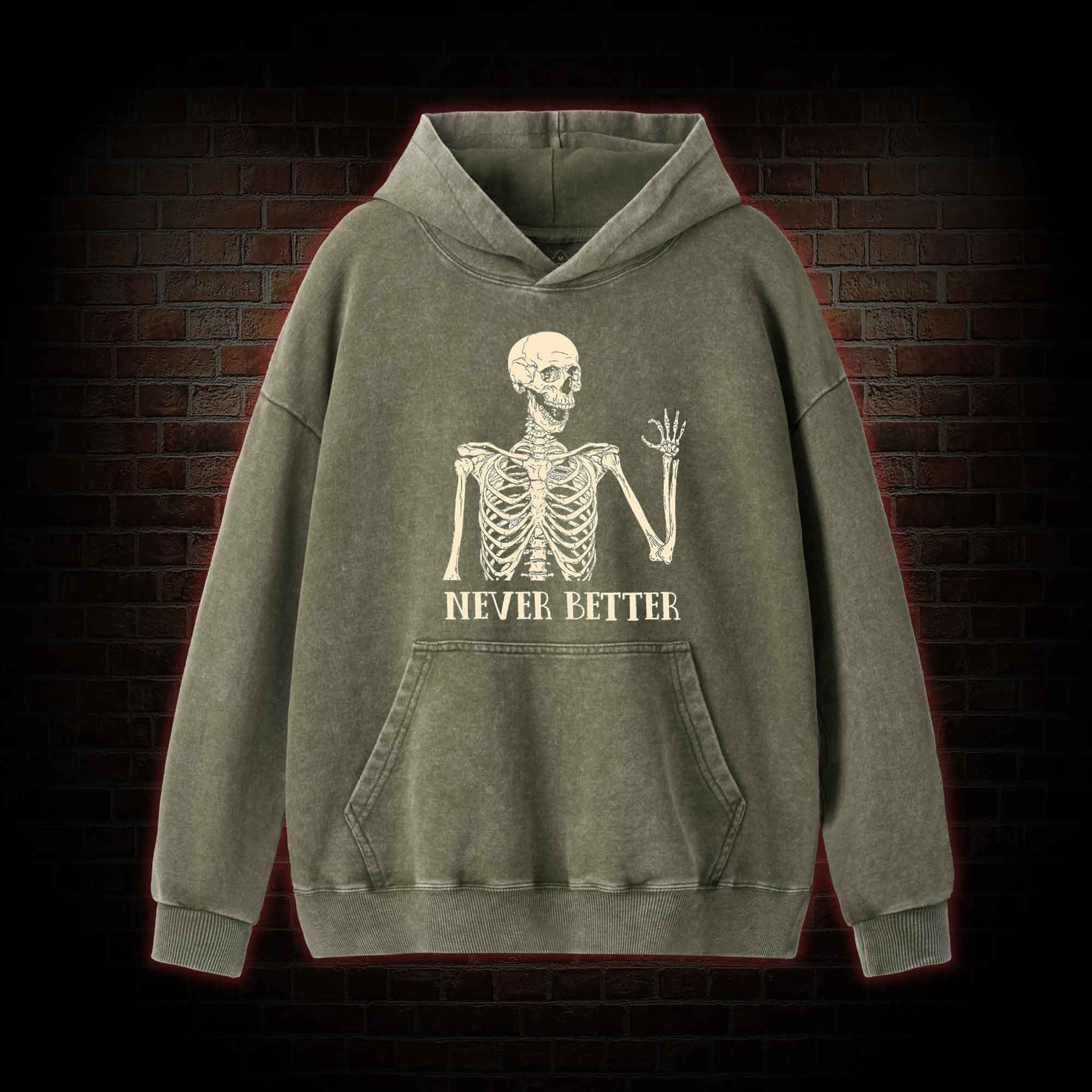 Never Better Washed Hoodie