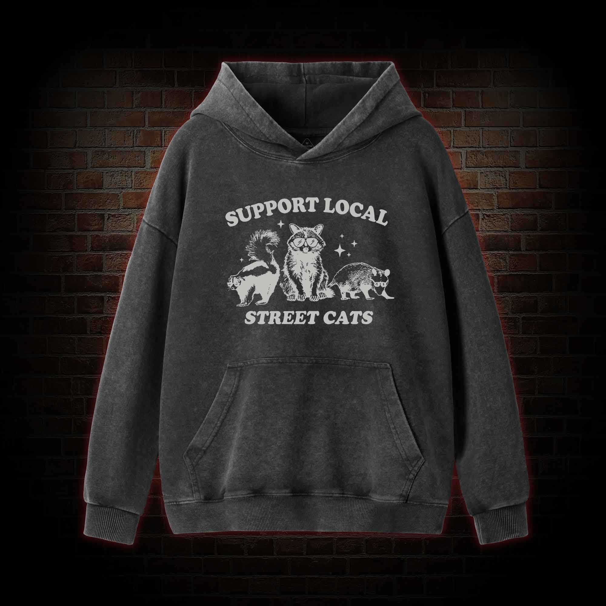Support Local Street Cats Washed Hoodie