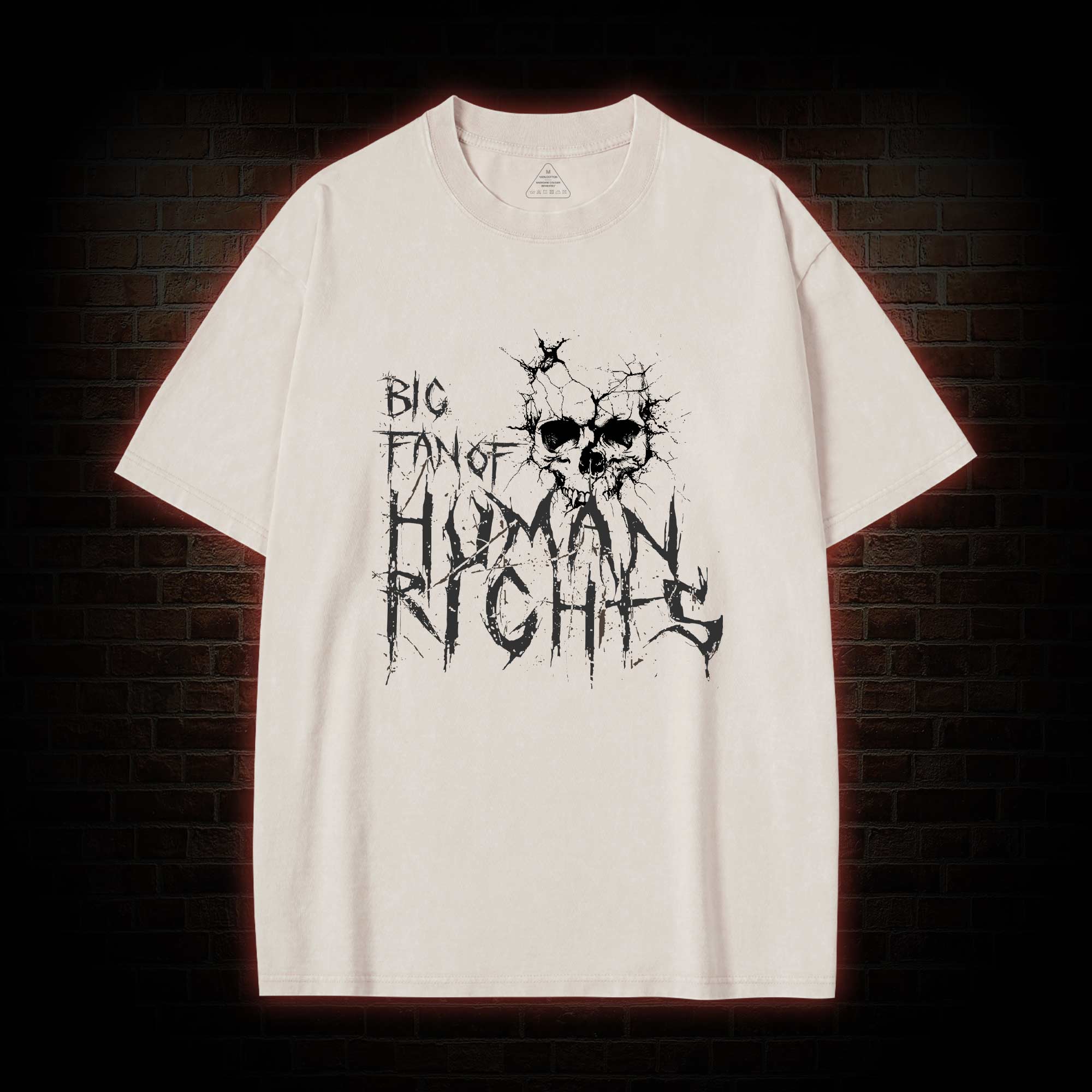 Big Fan of Human Rights Washed T-shirt