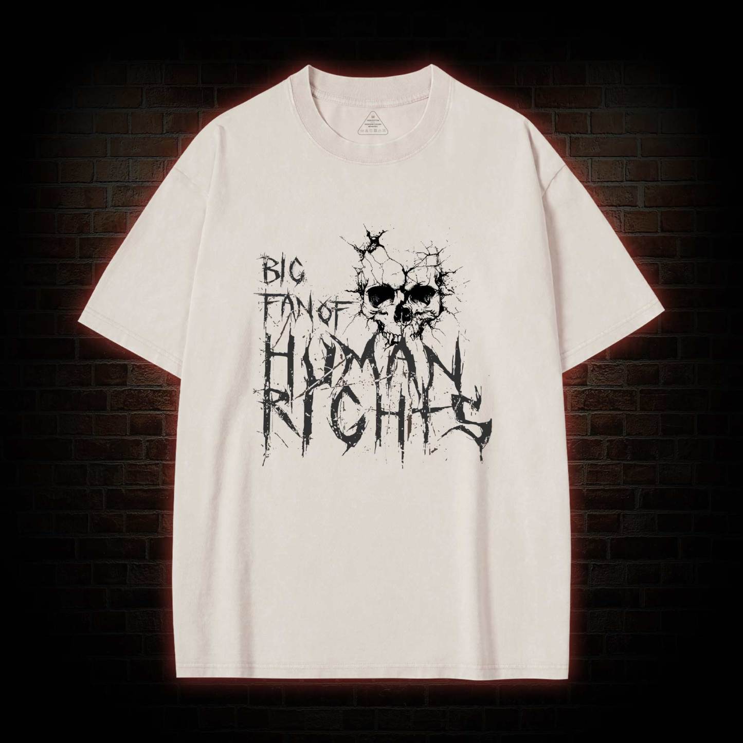 Big Fan of Human Rights Washed T-shirt