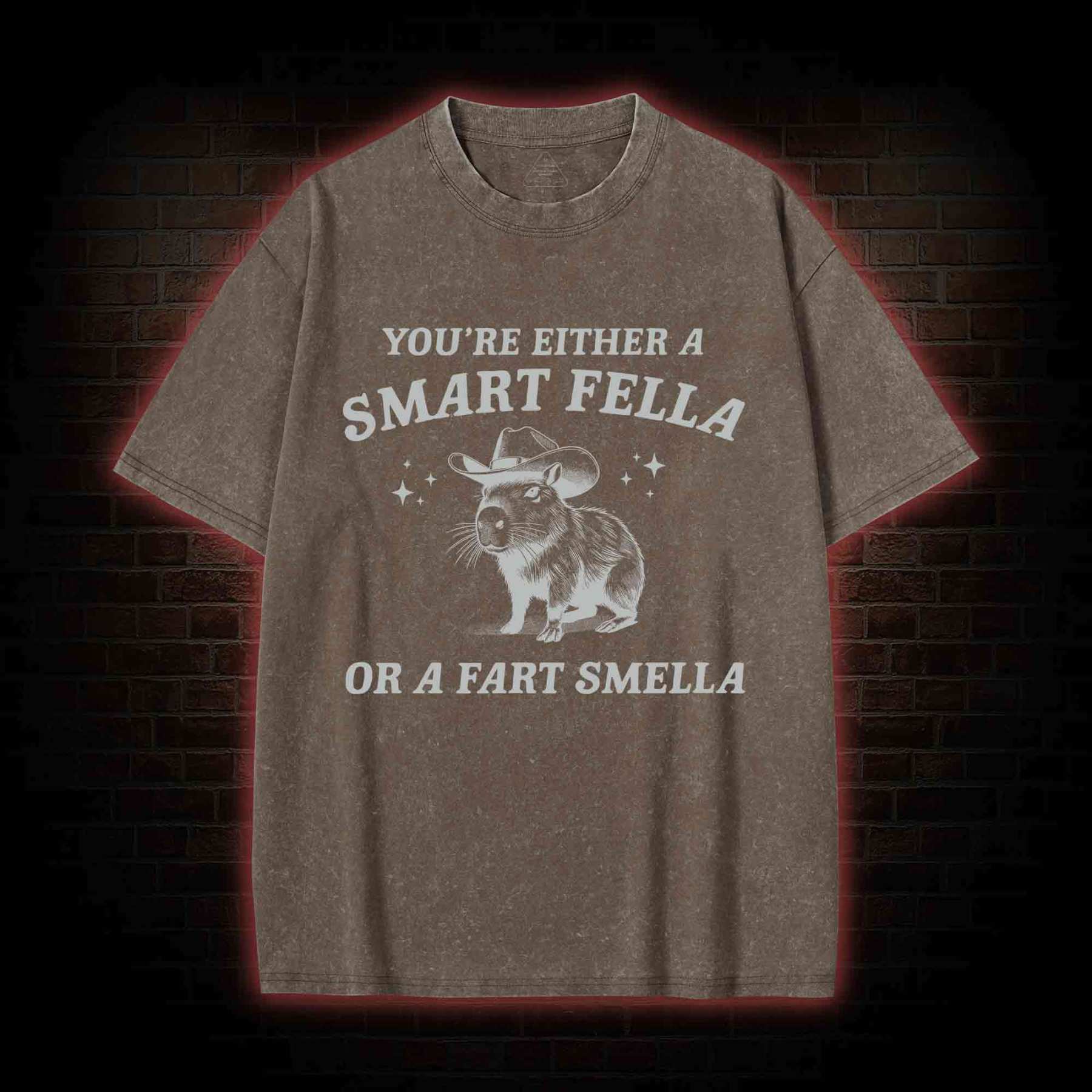 Smart Fella Or Fart Smella Washed T-shirt