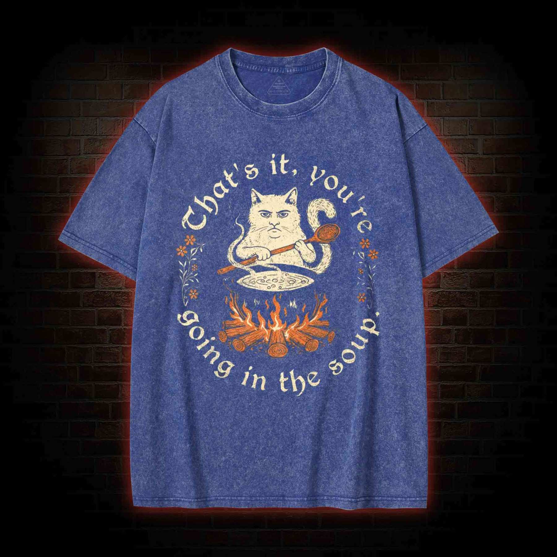 Weird Medieval Cat Washed T-shirt