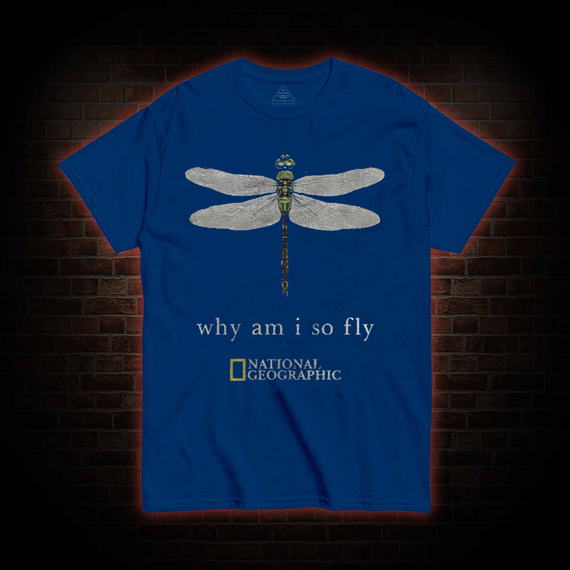 Why am I So Fly T-shirt