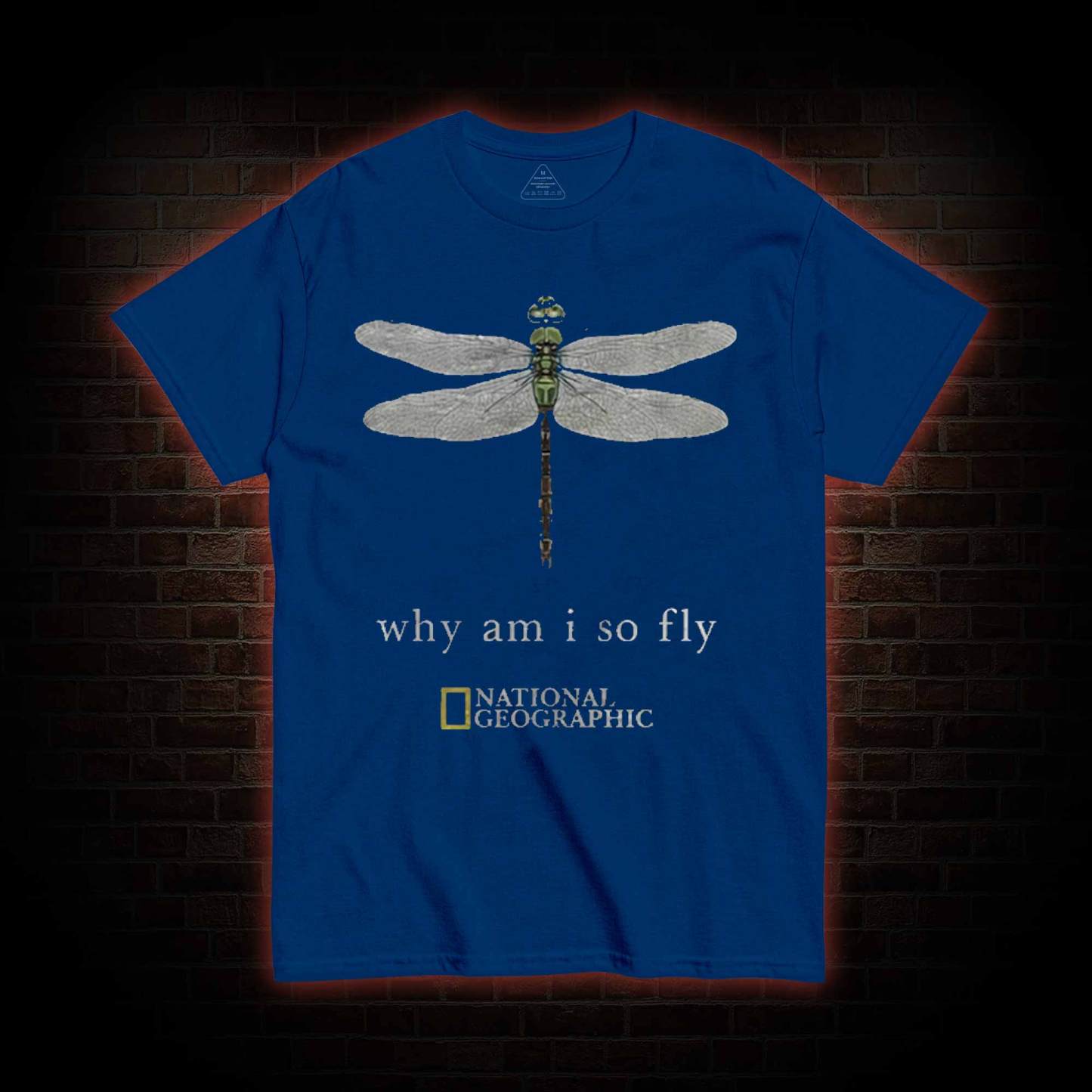 Why am I So Fly T-shirt
