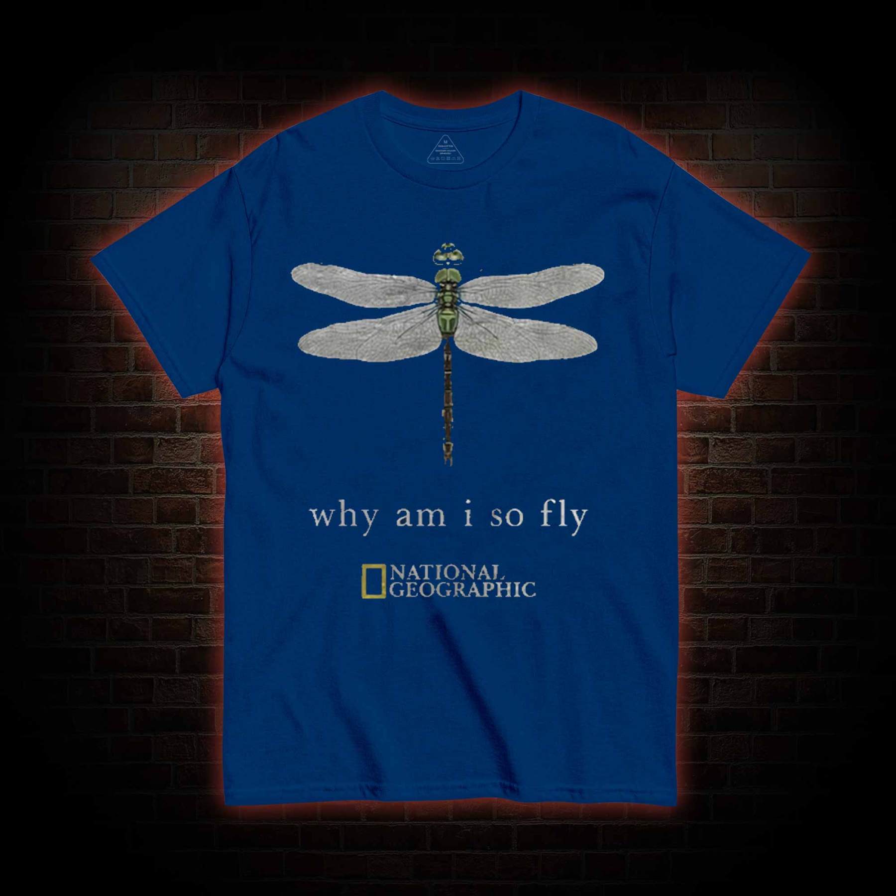 Why am I So Fly T-shirt