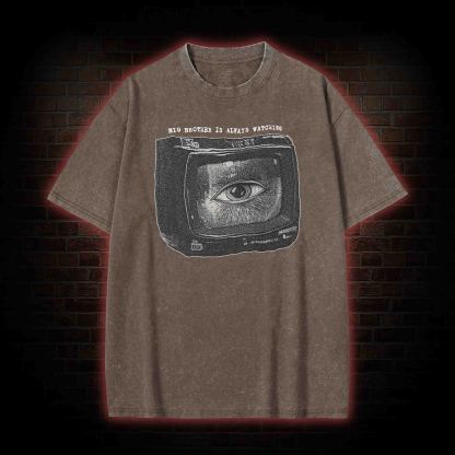 Big Brother is Always Watching Washed T-shirt