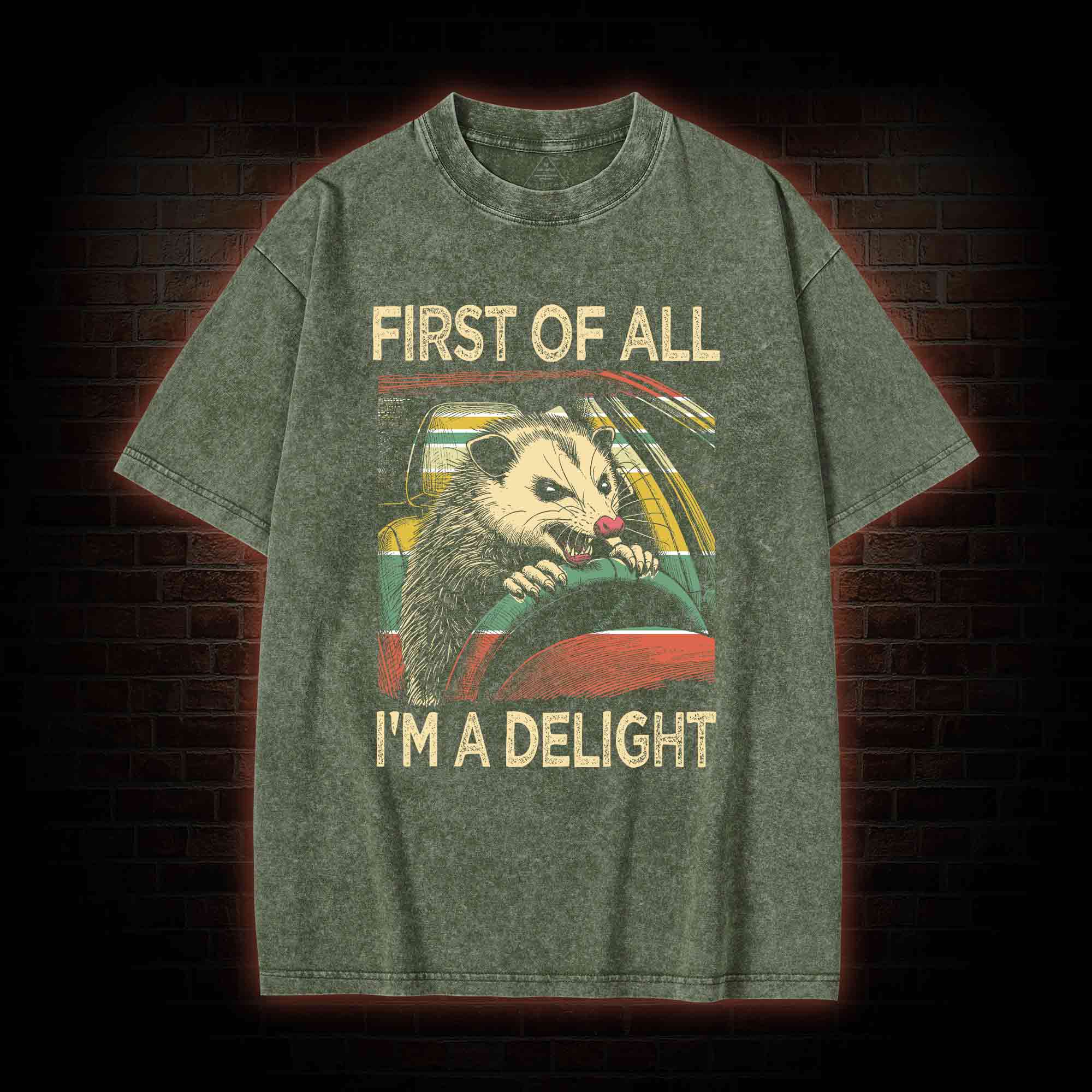First Of All I'm A Delight Washed T-shirt