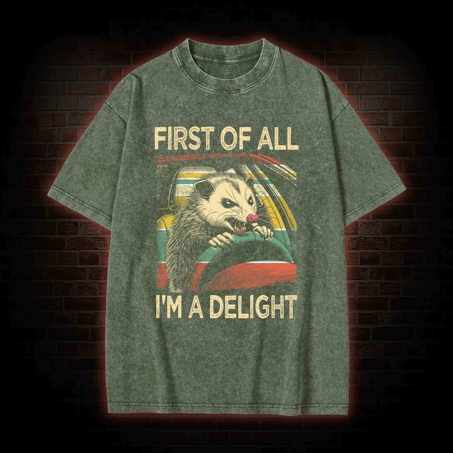 First Of All I'm A Delight Washed T-shirt
