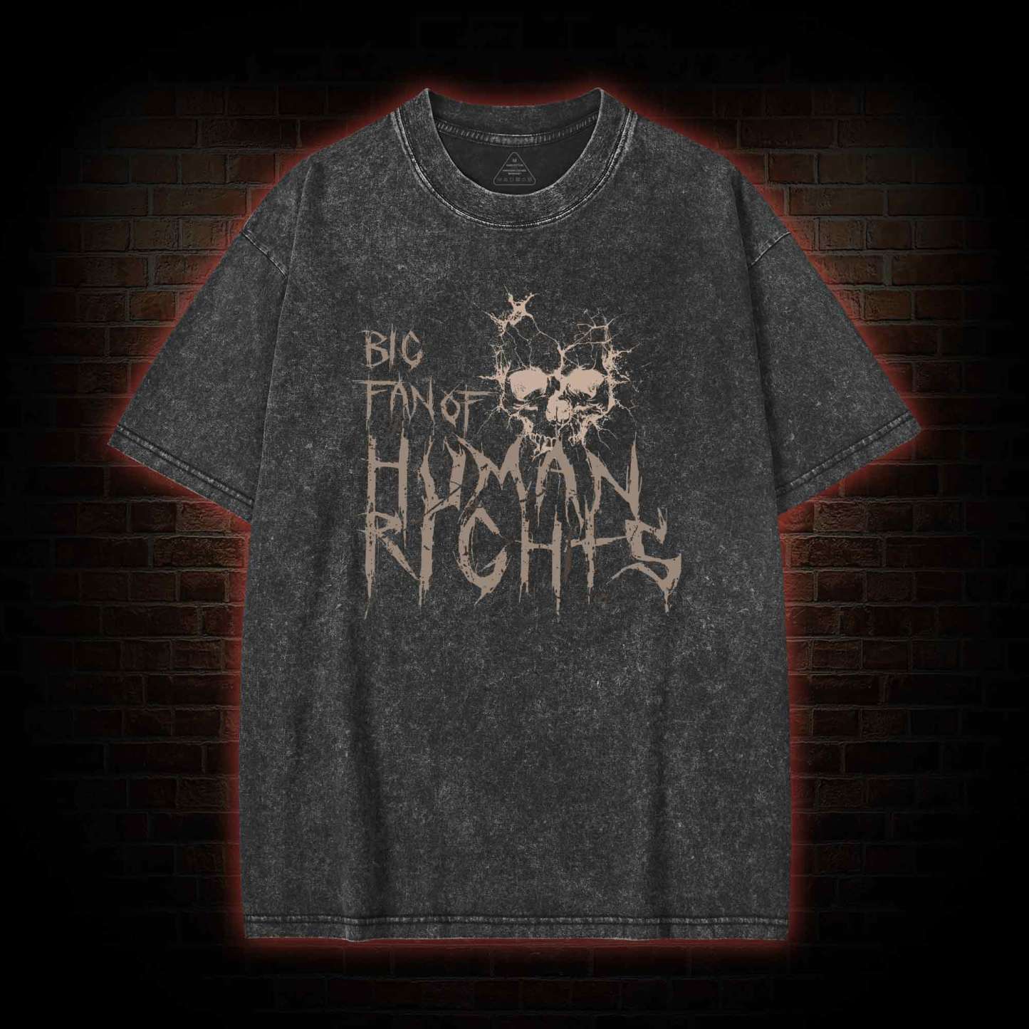 Big Fan of Human Rights Washed T-shirt
