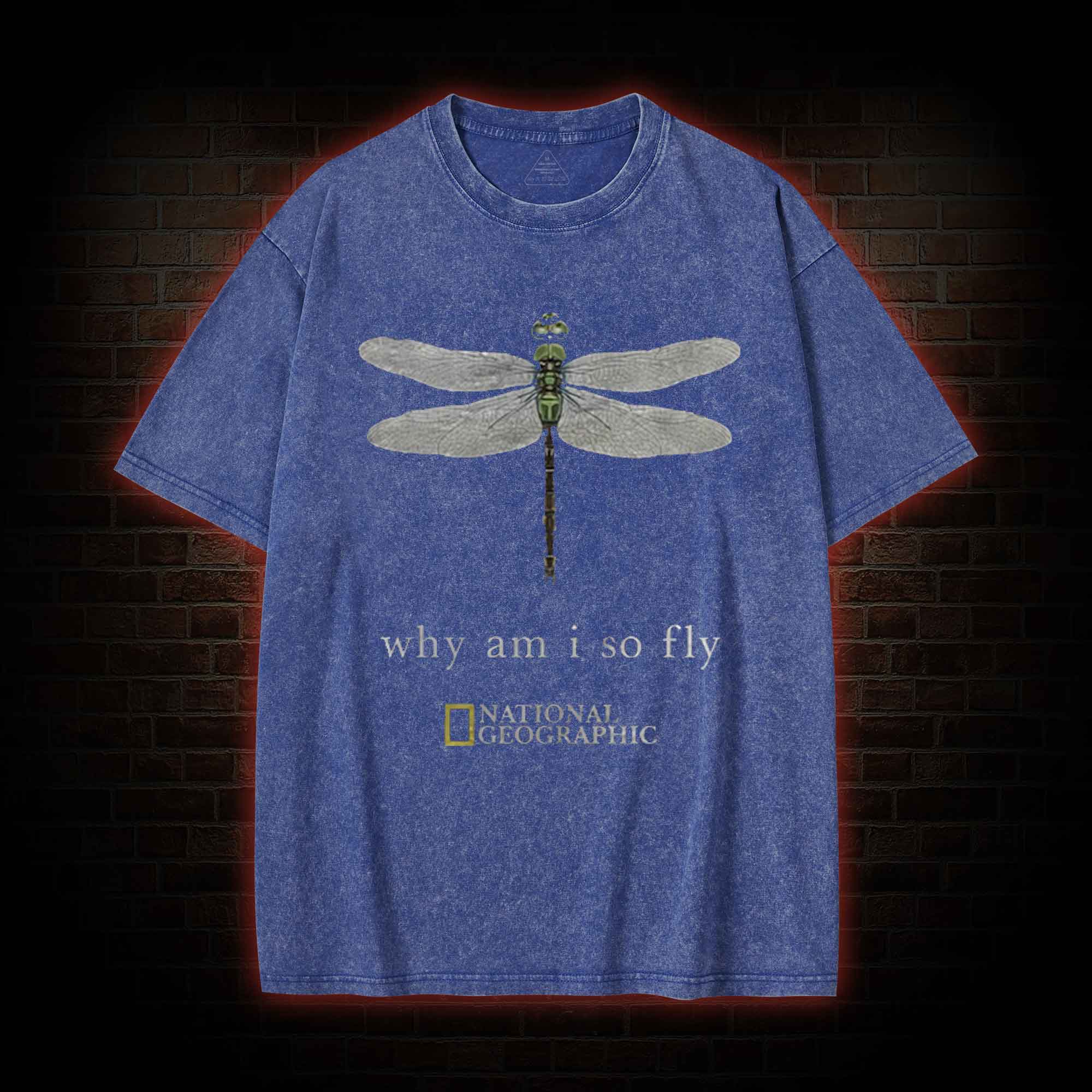 Why am I So Fly Washed T-shirt