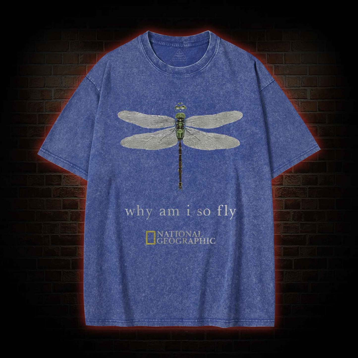 Why am I So Fly Washed T-shirt