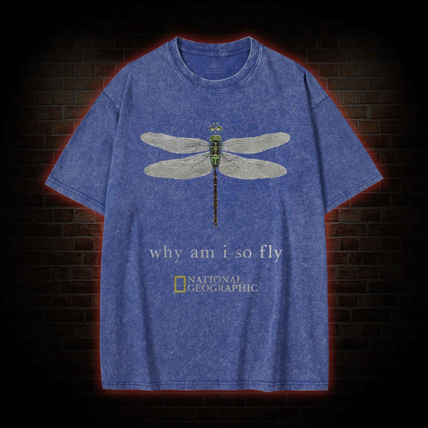 Why am I So Fly Washed T-shirt