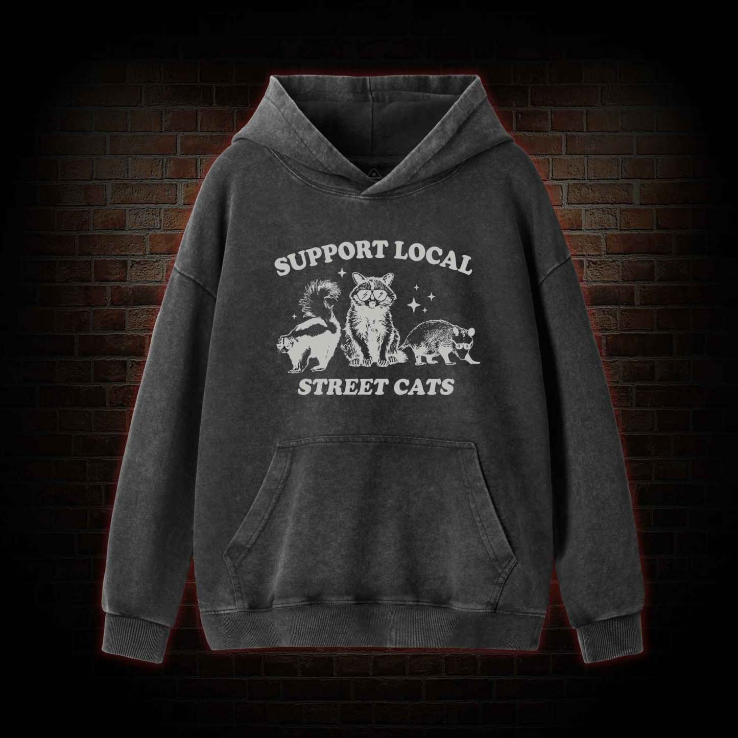 Support Local Street Cats Washed Hoodie