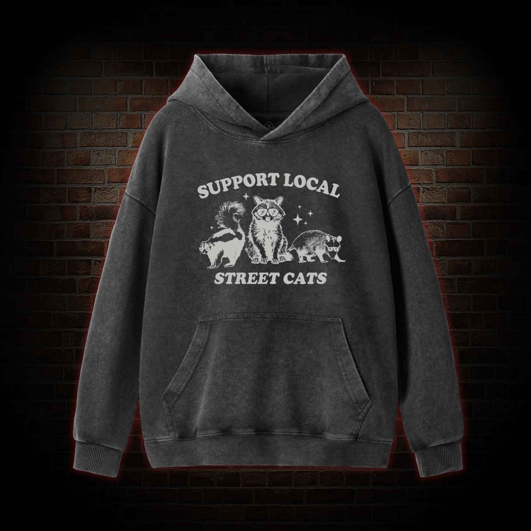 Support Local Street Cats Washed Hoodie