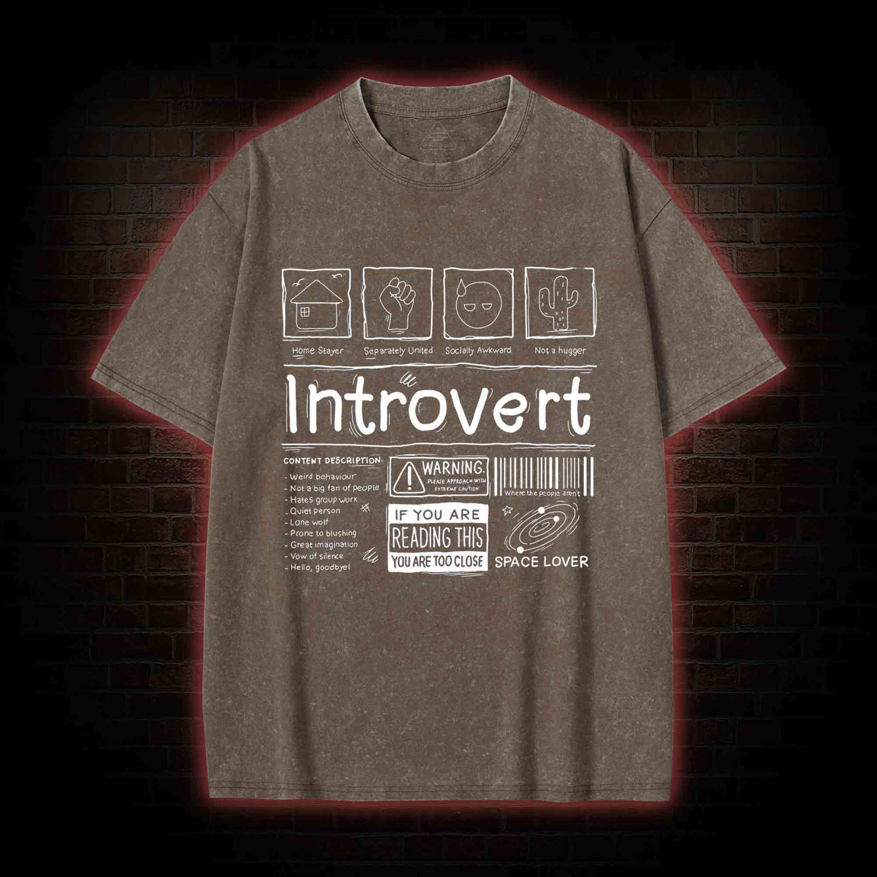 Introvert Washed T-shirt