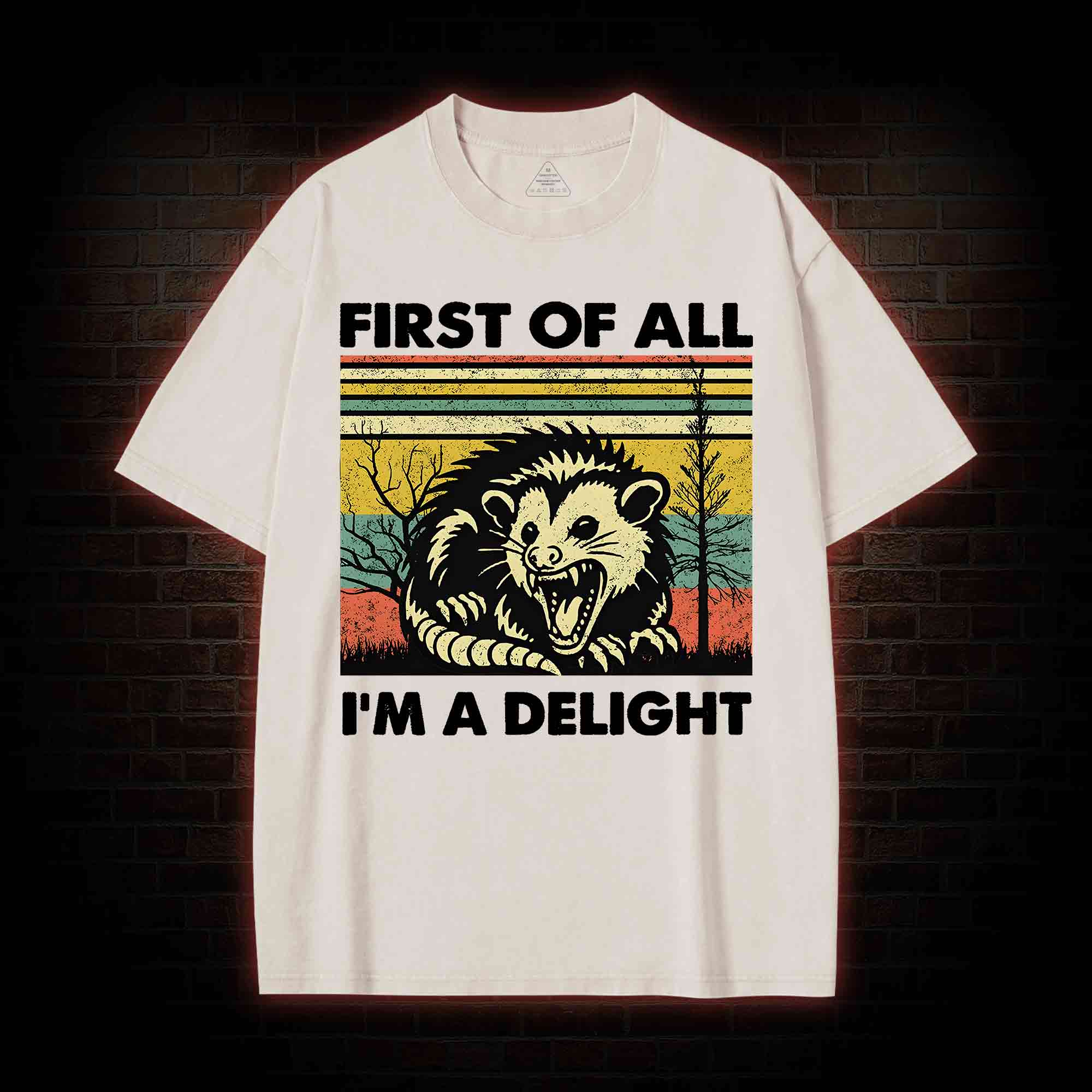 I'm A Delight Washed T-shirt