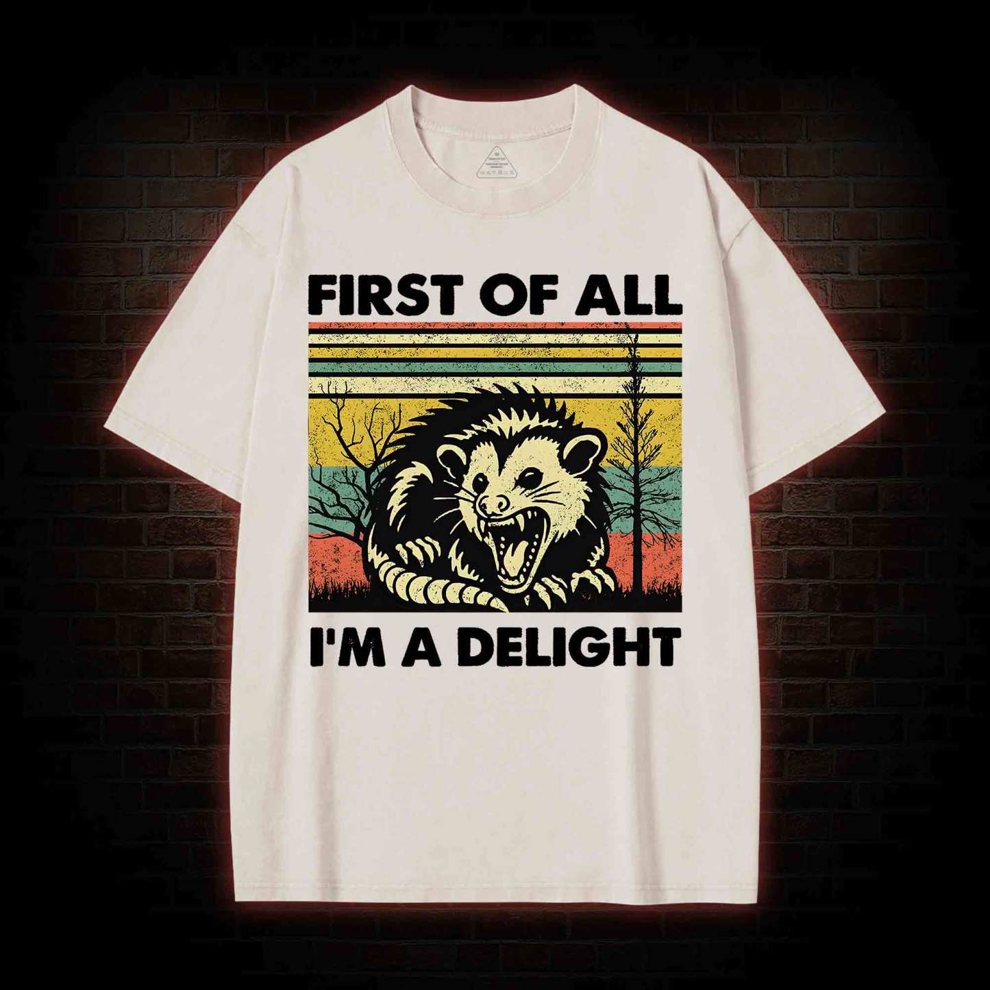 I'm A Delight Washed T-shirt