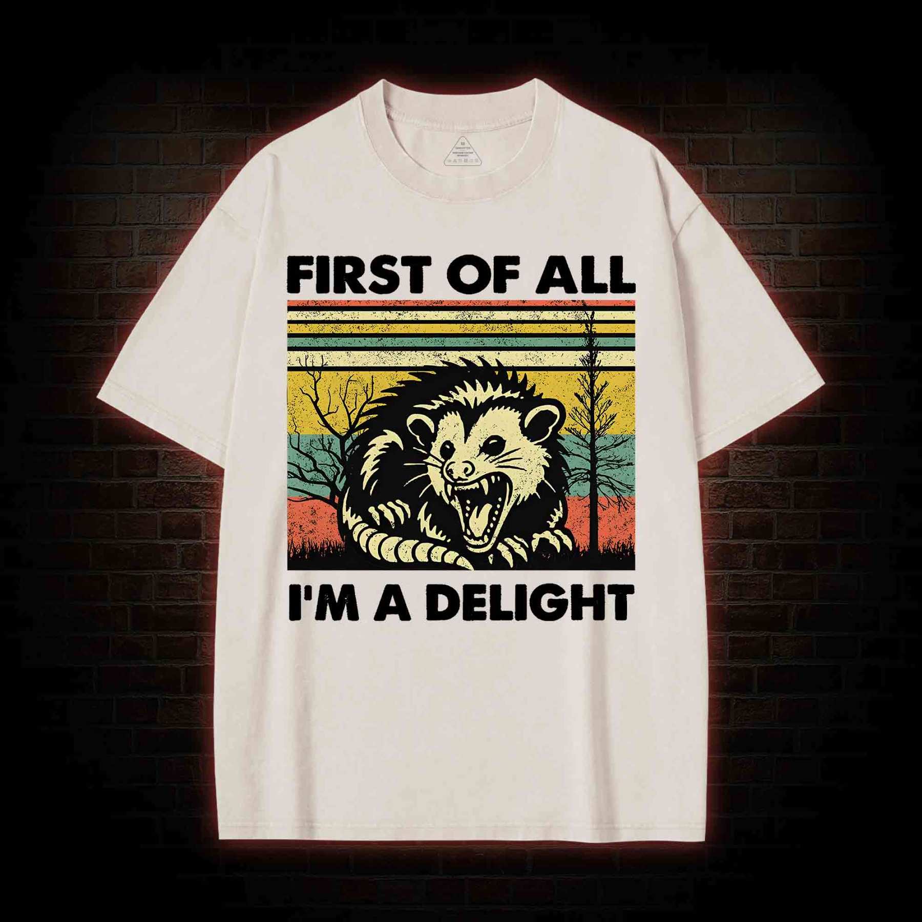 I'm A Delight Washed T-shirt
